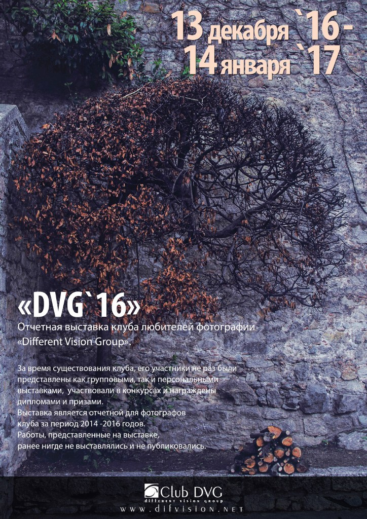 Выставка DVG-16. Клуб Петербургских любителей фотографии