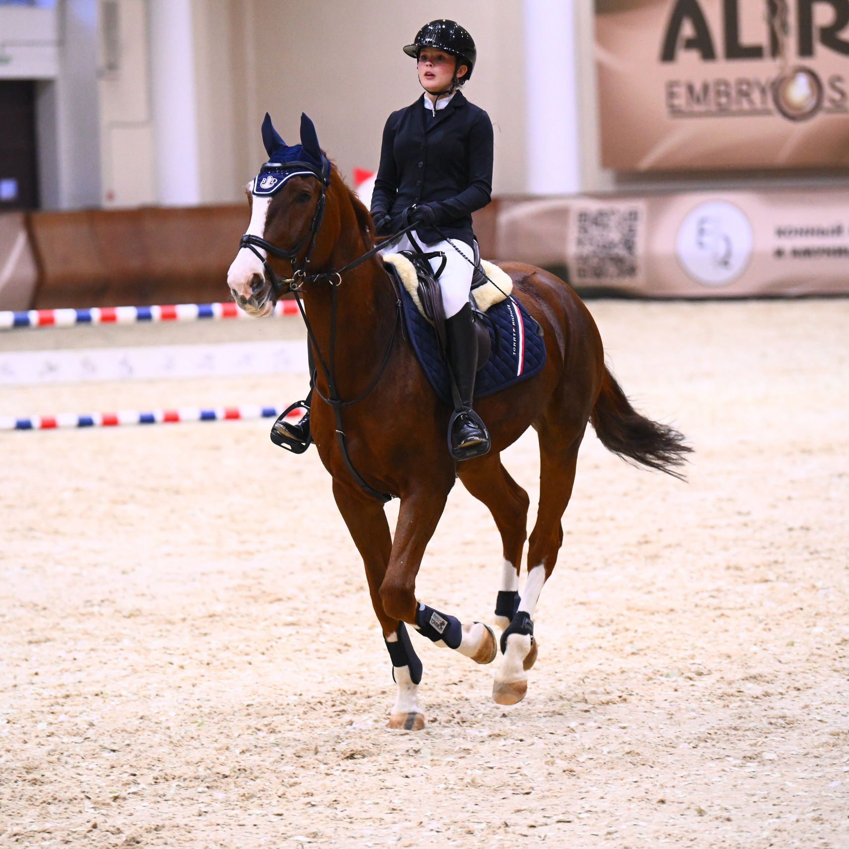 2025.10.25 — КСК Виват, Россия!. ТУРНИРНАЯ КОННАЯ ФОТОГРАФИЯ, Руднева Ольга и Евгений Адеев