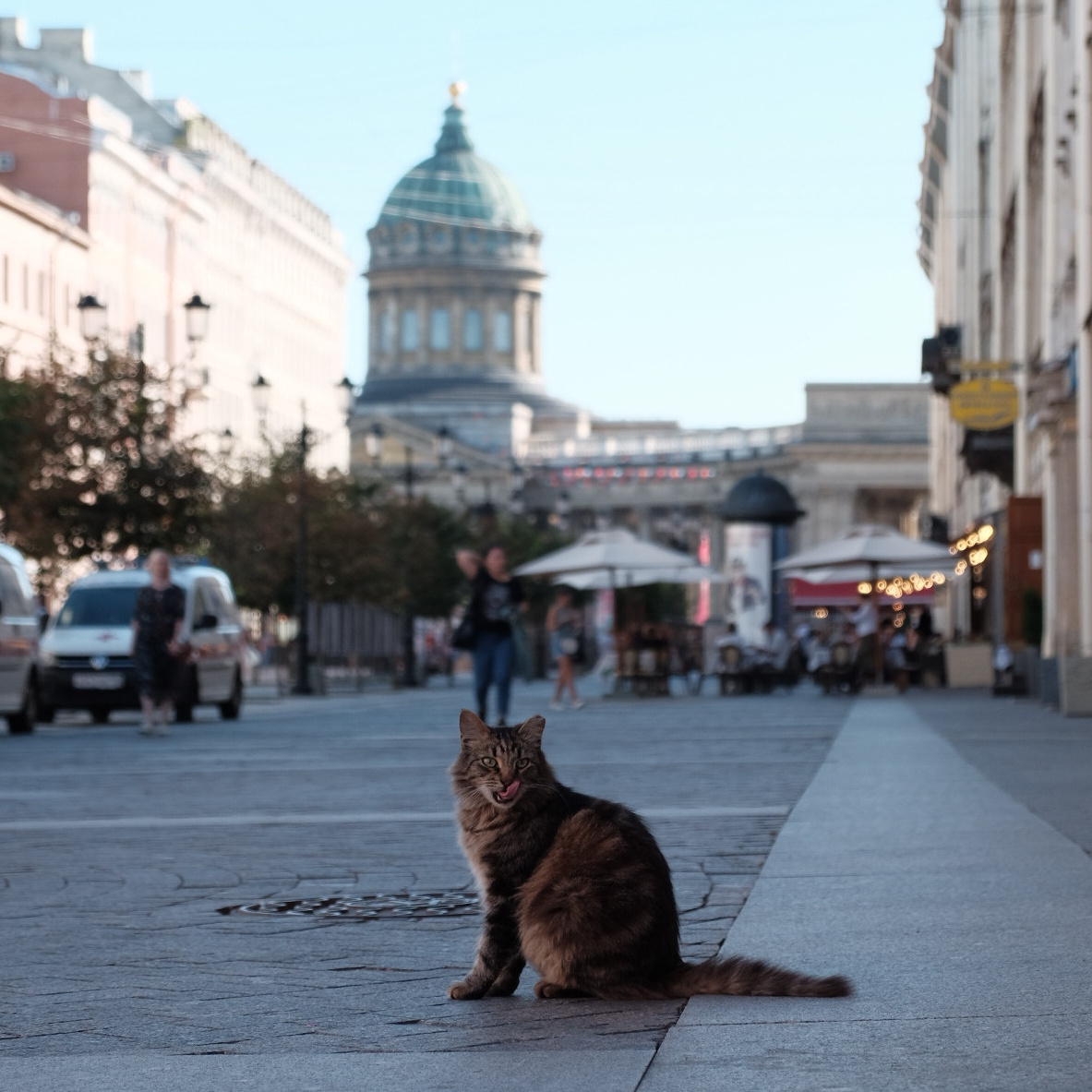 Об авторе. Метлахская плитка парадных Санкт-Петербурга