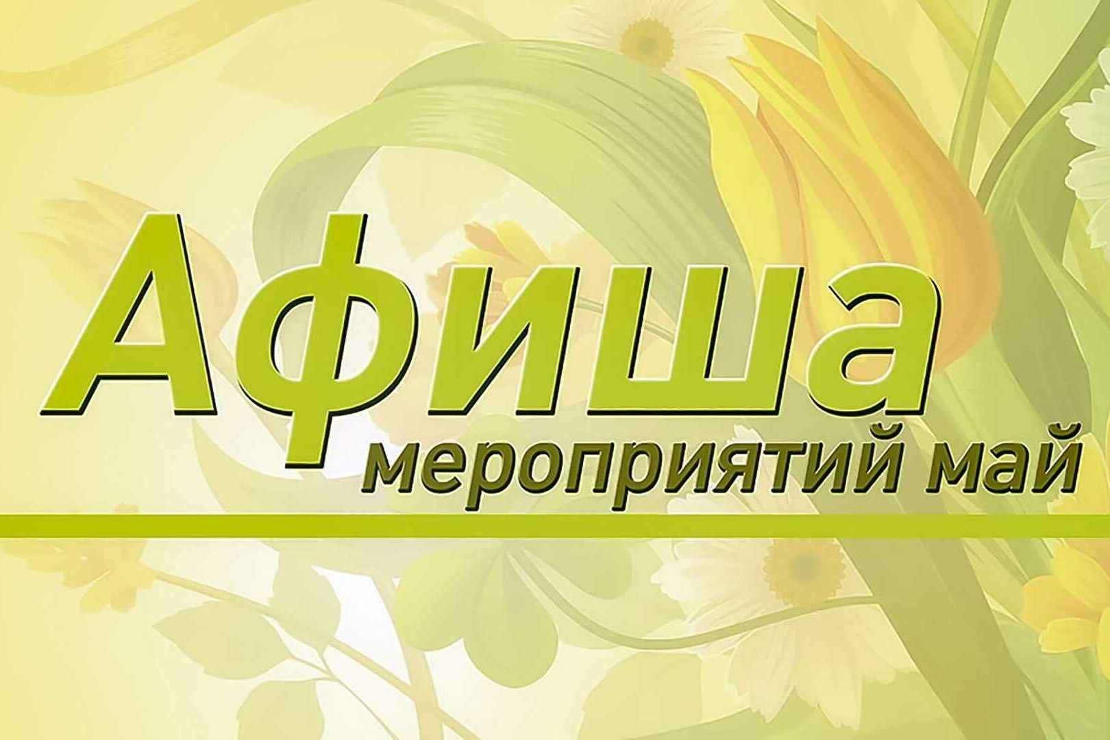 Спортивные мероприятия в акробатическом центре «Вверх» г. Новороссийск. Акробатика г. Новороссийск для детей — Акробатический центр «Вверх» —