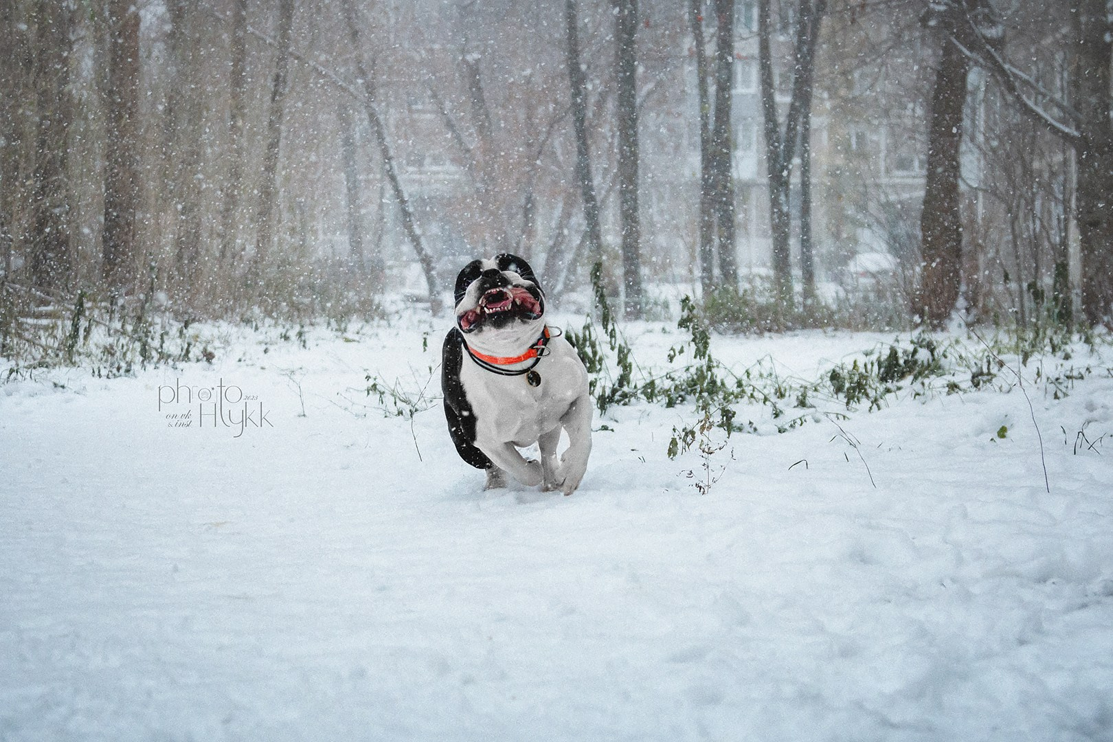 Услуги. Htykk_photo