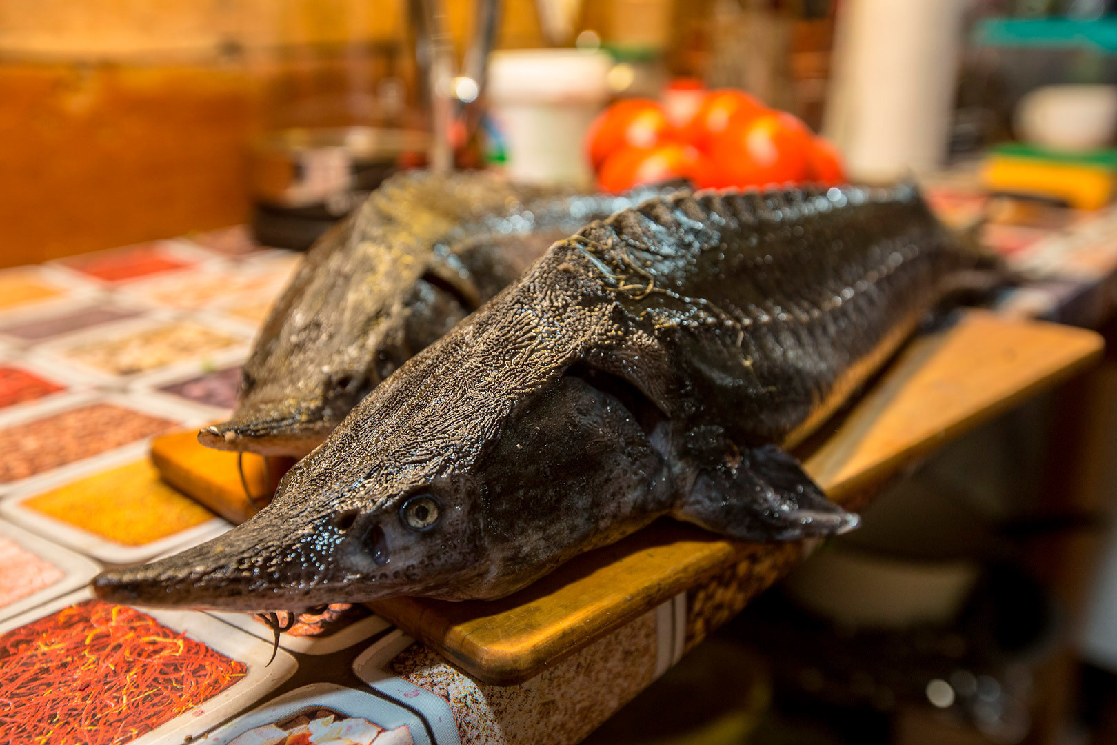 Рыбак Емеля. Yuri Ovchinnikov Photography, St. Petersburg, landscape photography