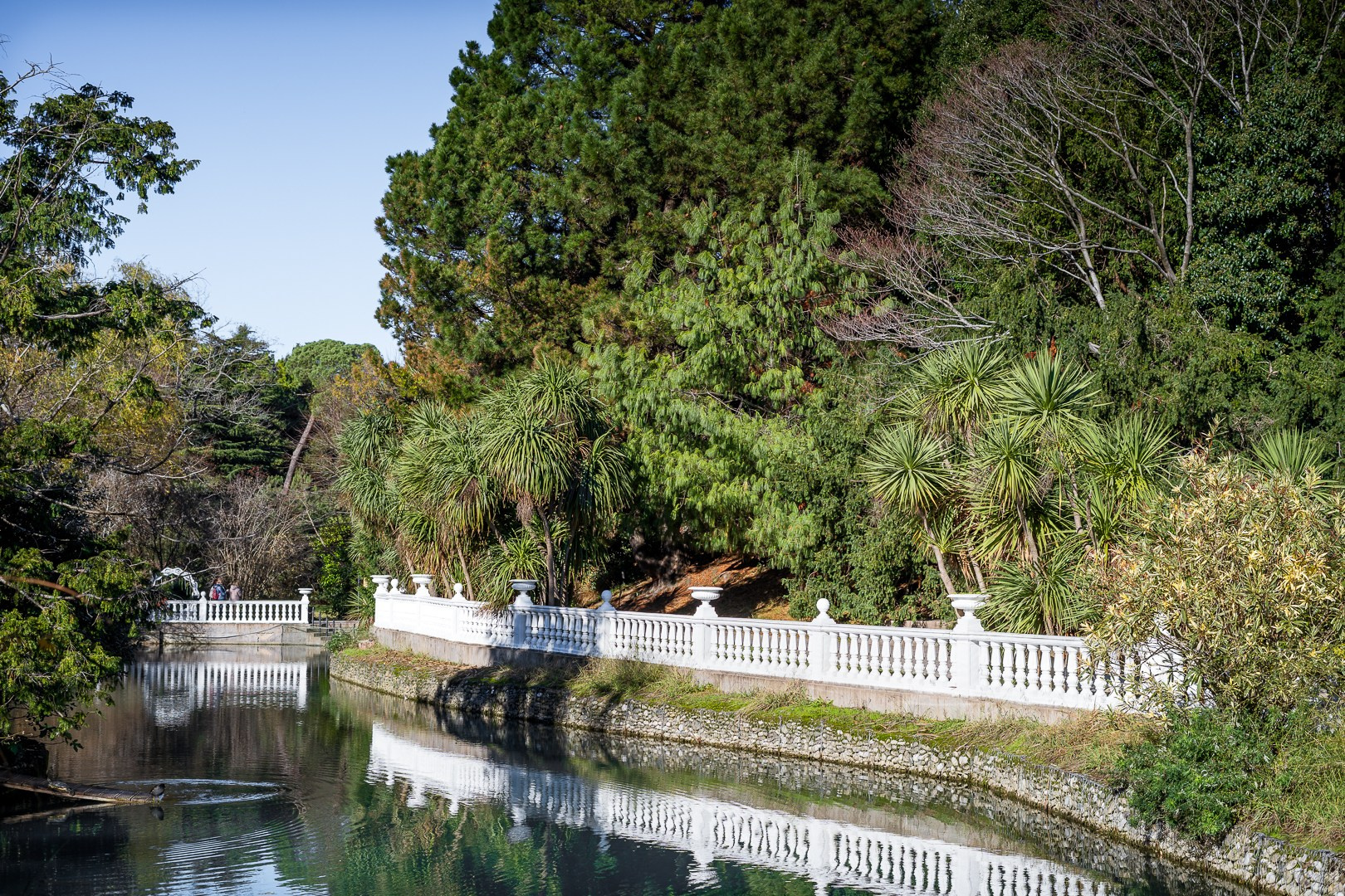 Парк Южные Культуры. Yaratezza production