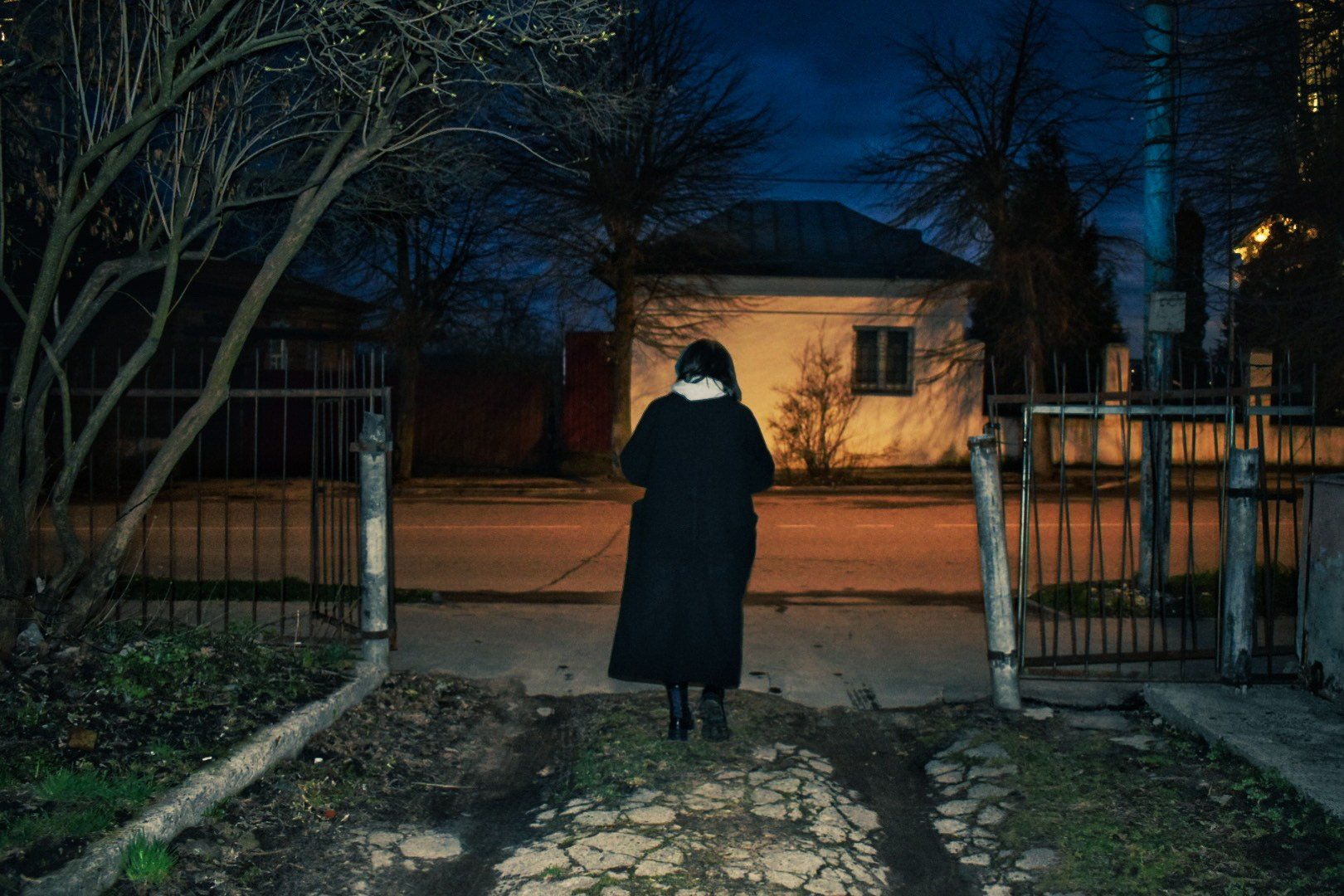 Творческое портфолио