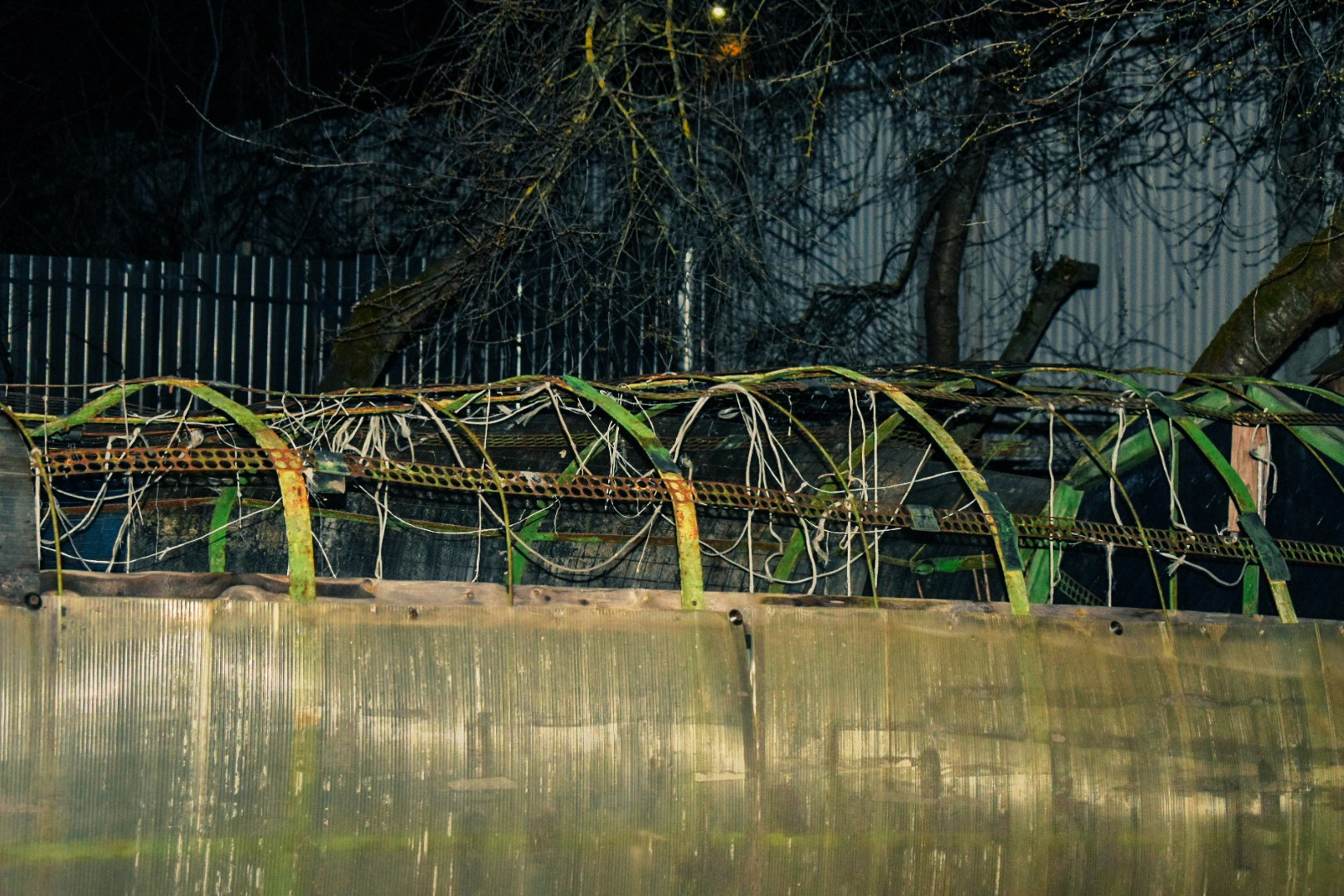 Творческое портфолио