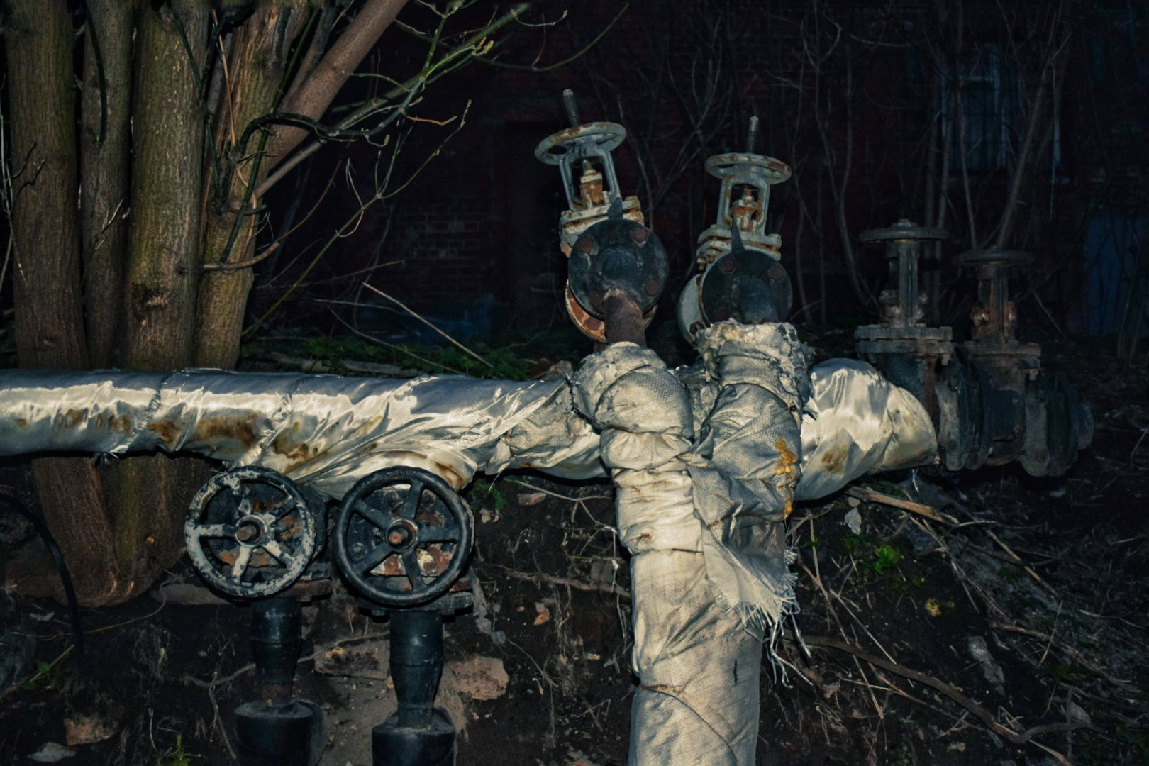 Творческое портфолио