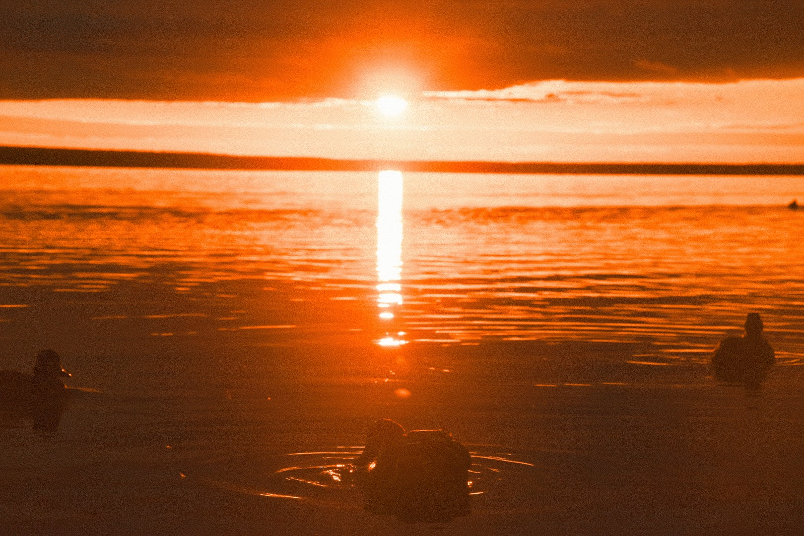 Событийный фотограф в Пушкино Светлана Мусатова