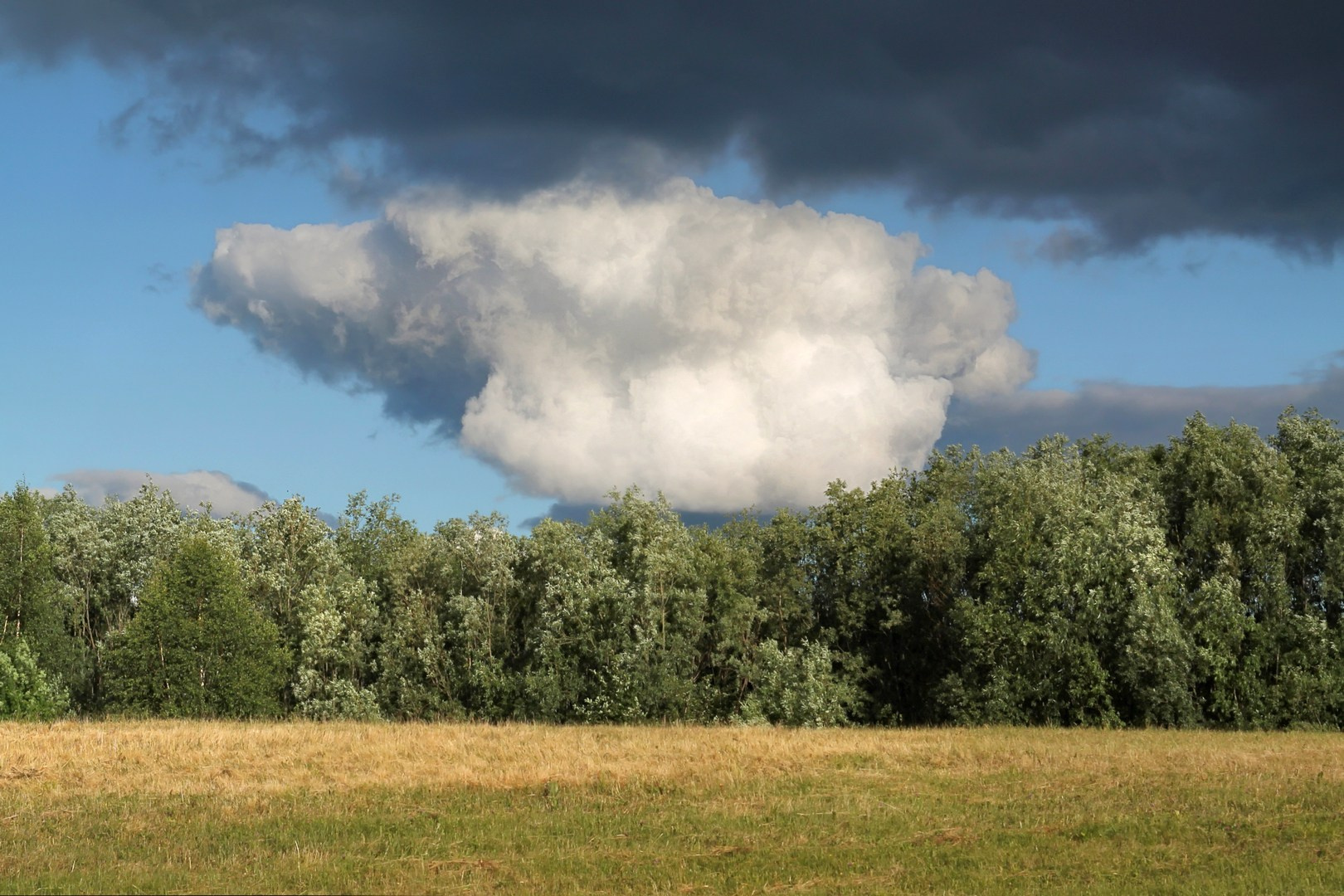 Избранная лирика (2009 ~ 2013). Руслан Шувалов (поэтограф)