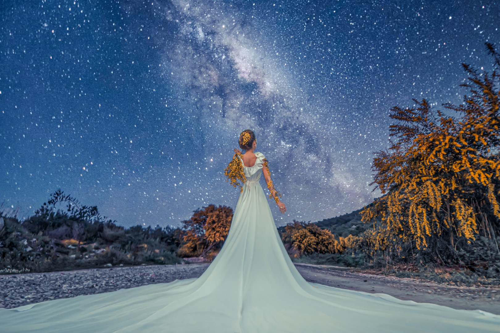 Services. Shanti Alex Art