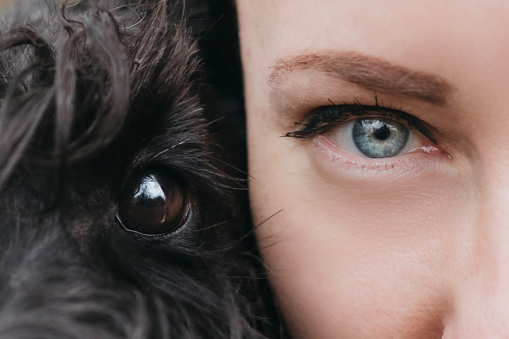 Услуги фотографа-анималиста в Санкт-Петербурге | Александра Пугачёва. Фотограф-анималист в Санкт-Петербурге Пугачёва Александра