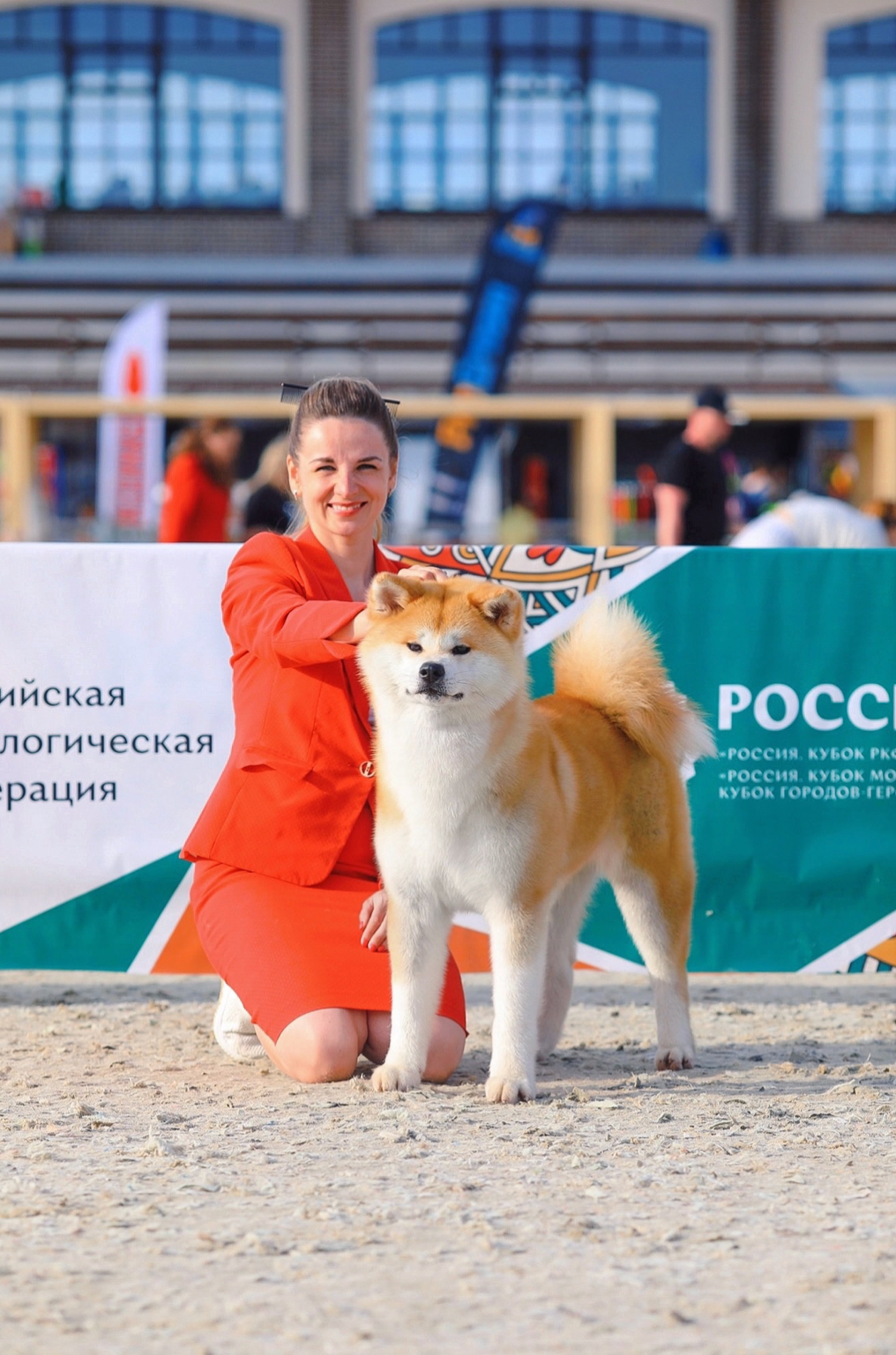 Dog Shows. Kennel Akita inu