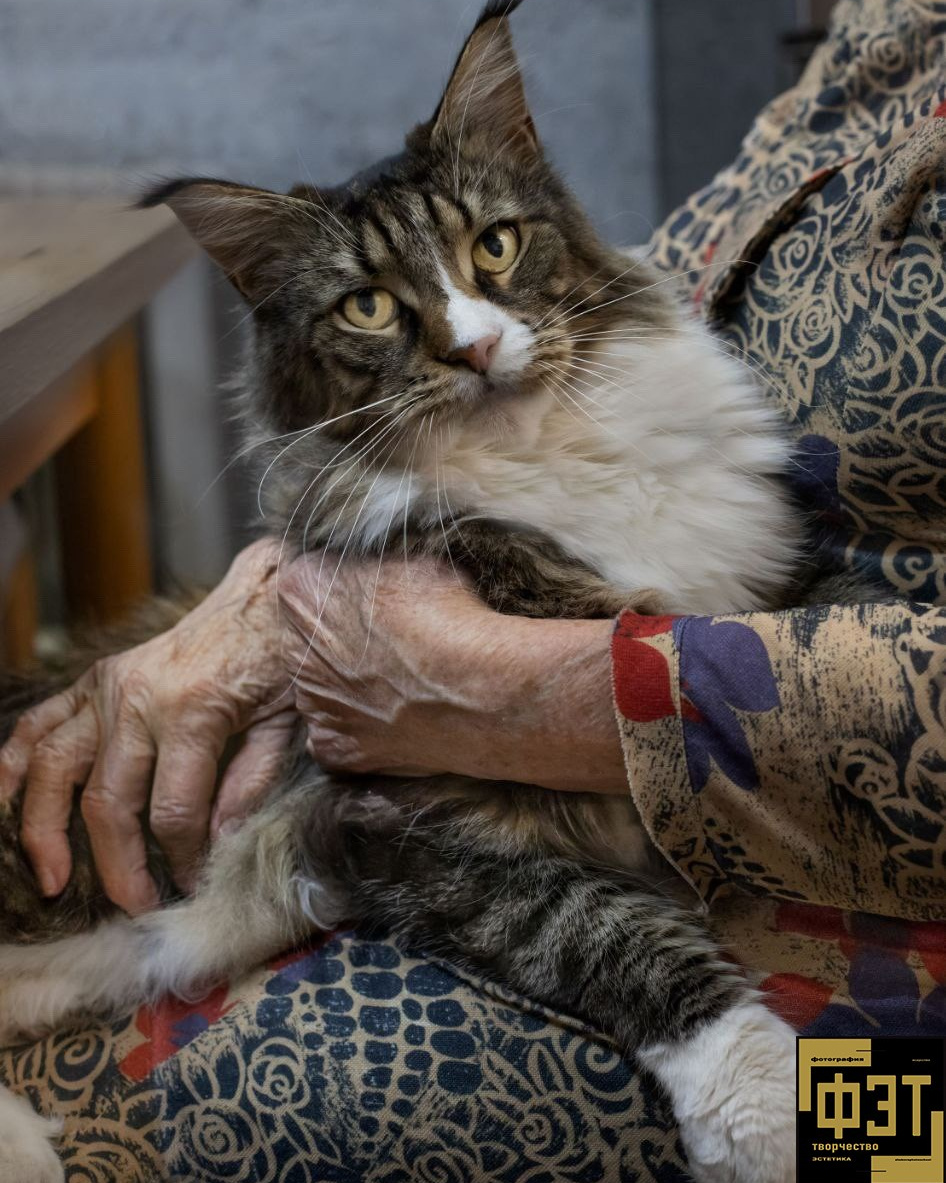 Выбор зрителей 01.03.26