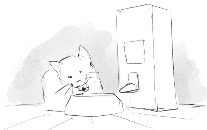 RED SOLUTION. Фото и видеосъёмка клипов и контента для компаний и личных брендов