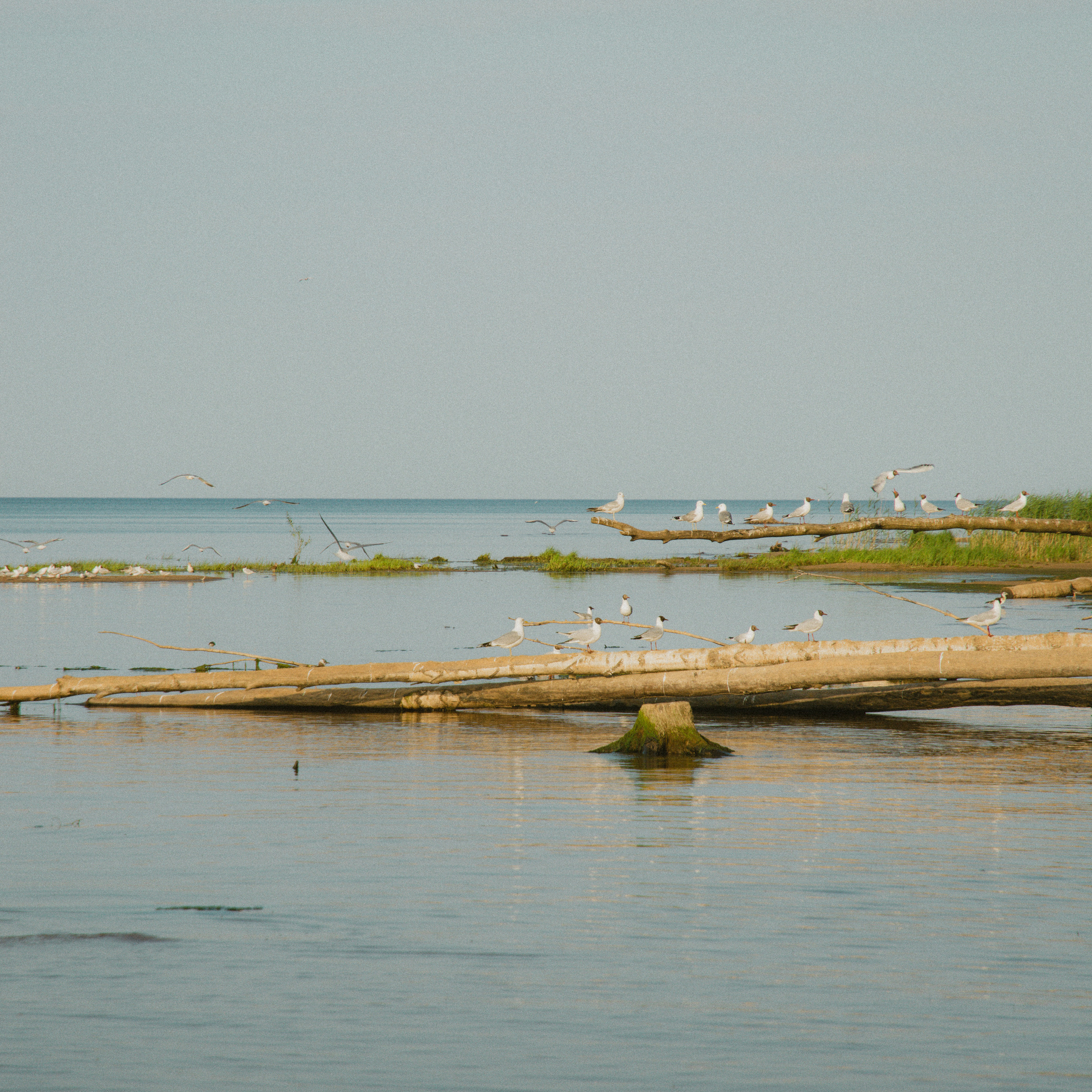 Фотограф Москва, бизнес портрет для женщин, красивая фотосессия в москве. Фотограф Москва| Женский фотограф|Бизнес портреты, лайфстайл, индивидуальная фотосессия