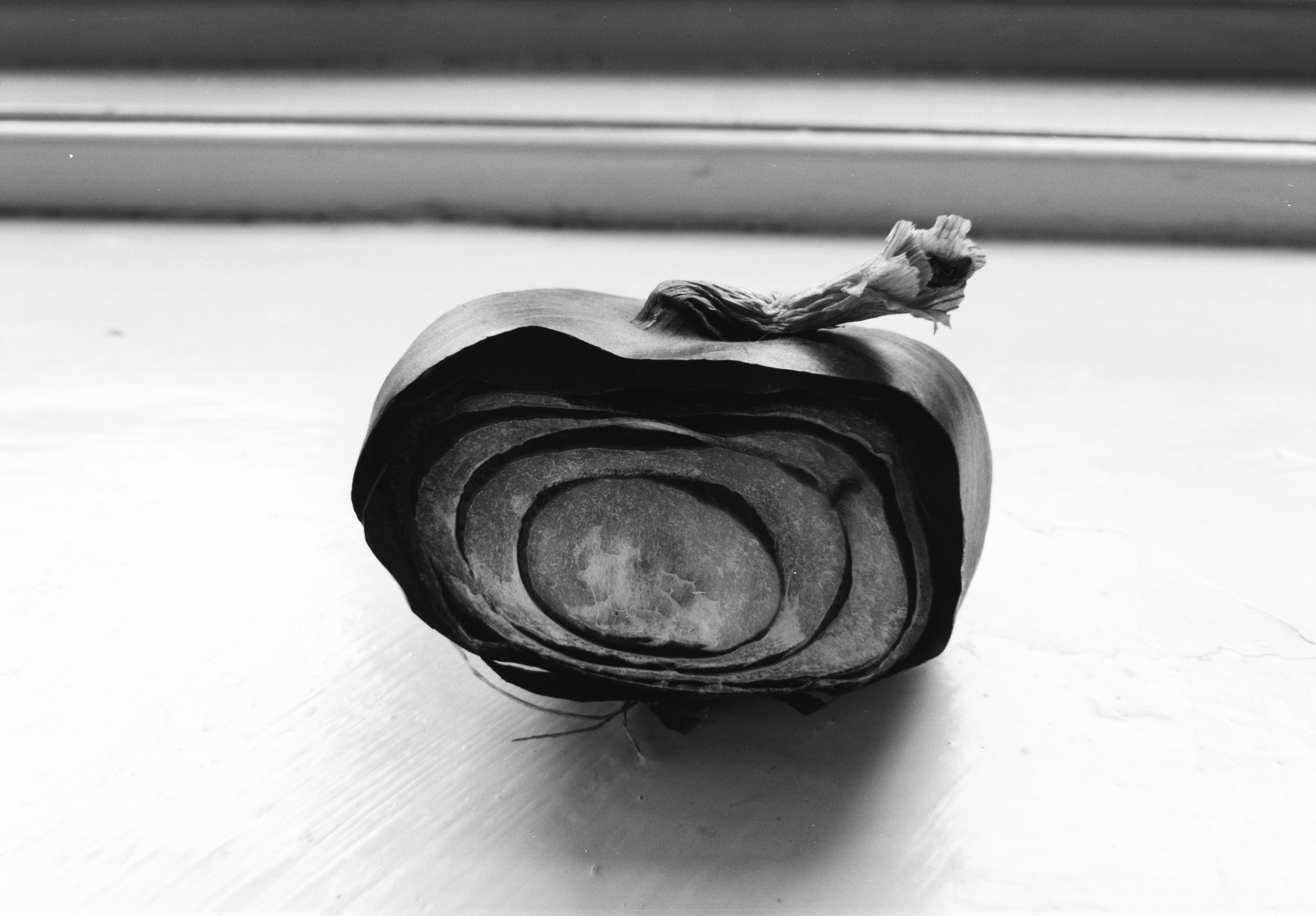 PRINTS. Daria Blinova