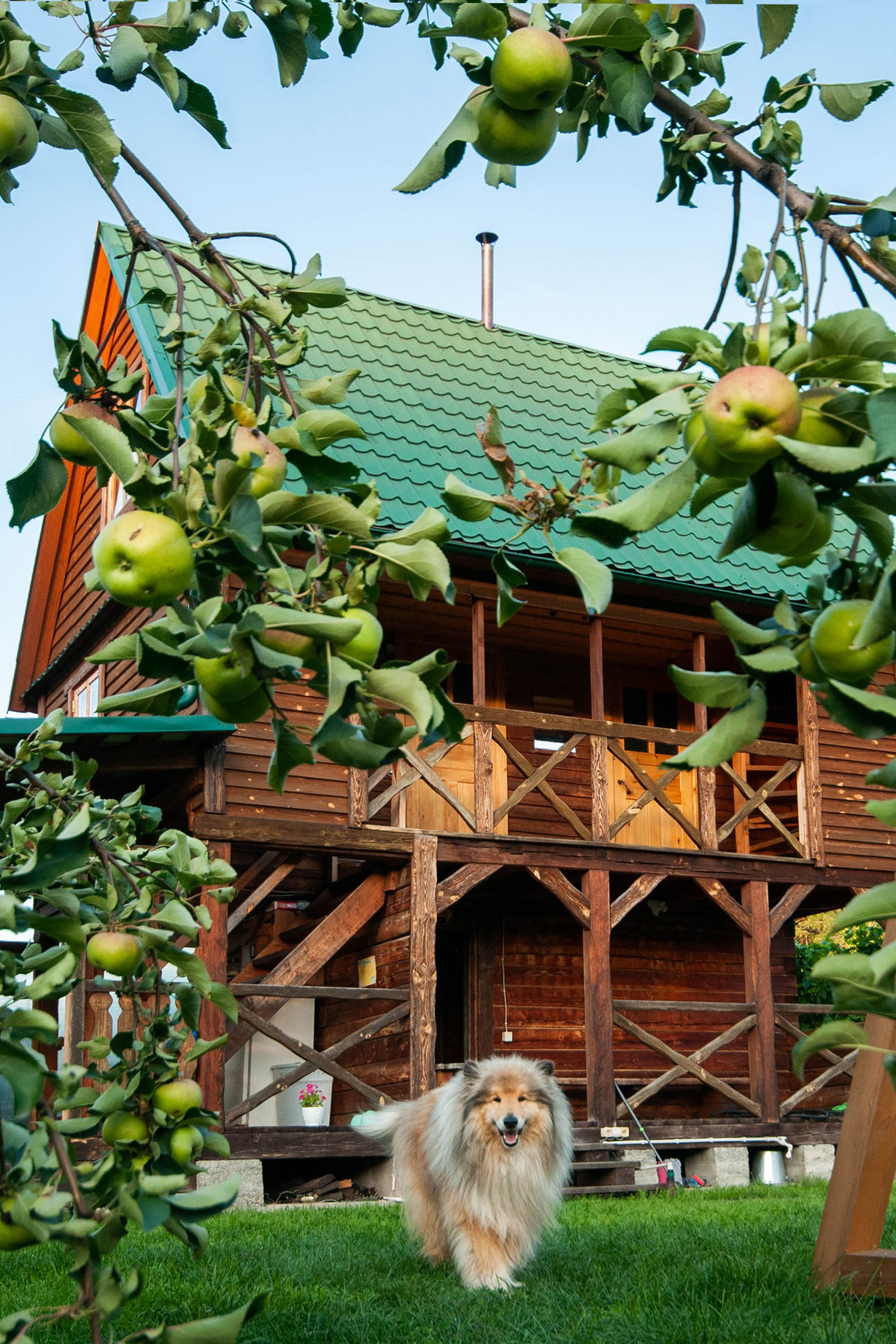 Портретный фотограф в республике Алтай Юлия Шевченко