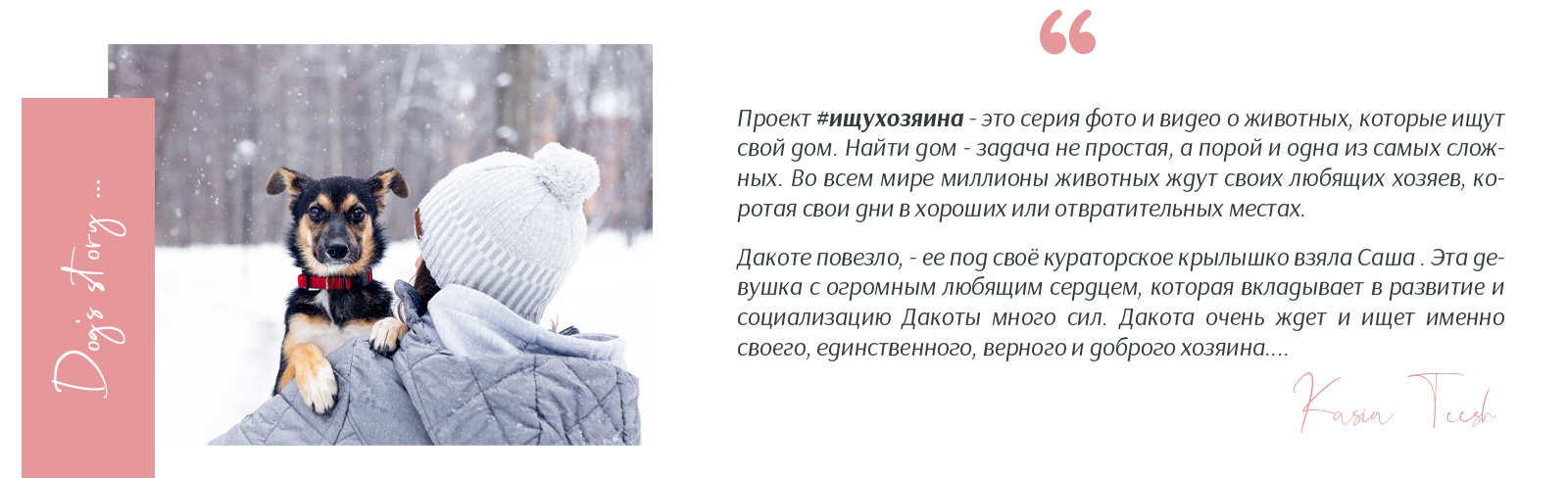 Dog’s story Dakota and Sasha. Kasia Teesh. Фотограф и Видеограф. Сергиев Посад