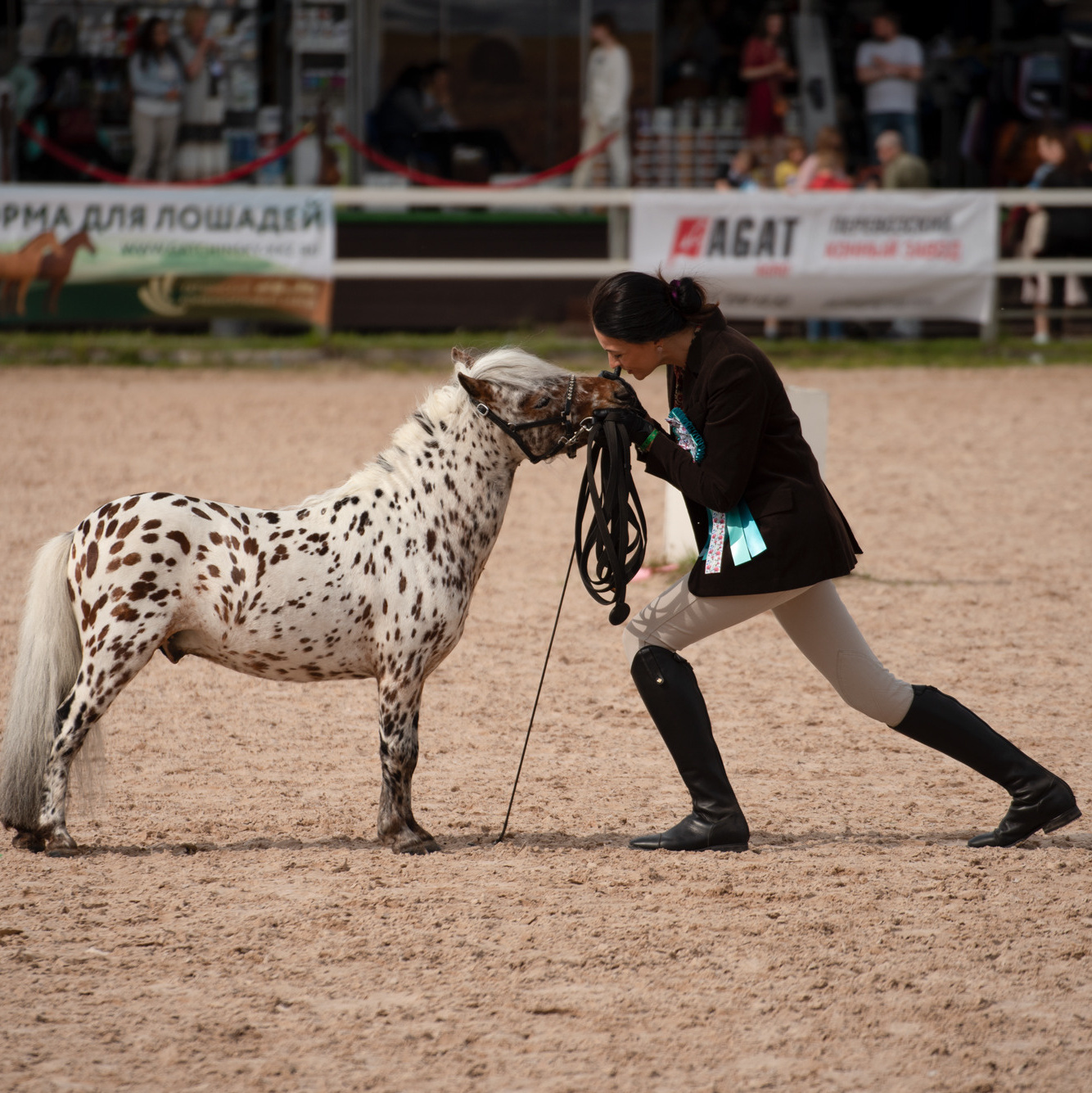  фото с лошадью, фотография с лошадью, конный фотограф, съемка лошадей, фотограф лошадей, конная фотография, конный фотограф, конный фотограф в спб, профессиональный фотограф спб, фотограф спб, фотосессия с лошадьми, конная прогулка, фотосессия в спб, конные прогулки, фотосессия недорого, фотограф спб, недорого фото, сниму с лошадью, 