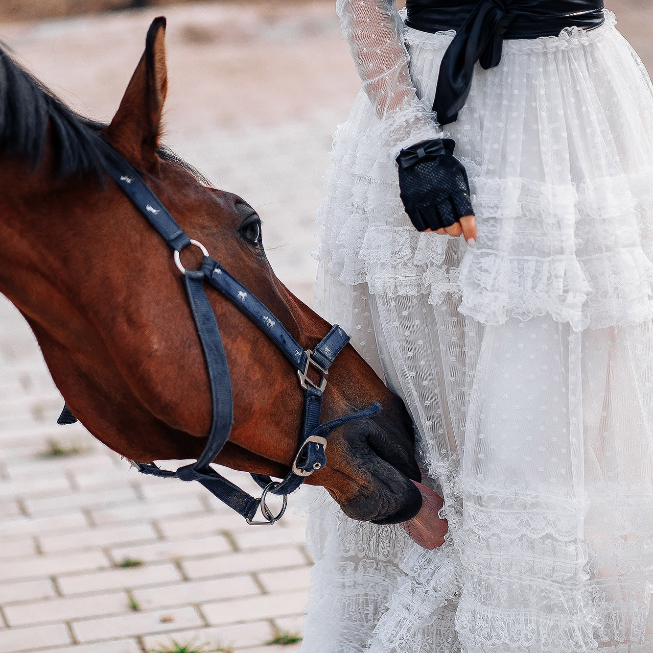 Отзывы. Фотограф Александр Гавриш — фотосессии и фотопроекты в Москве