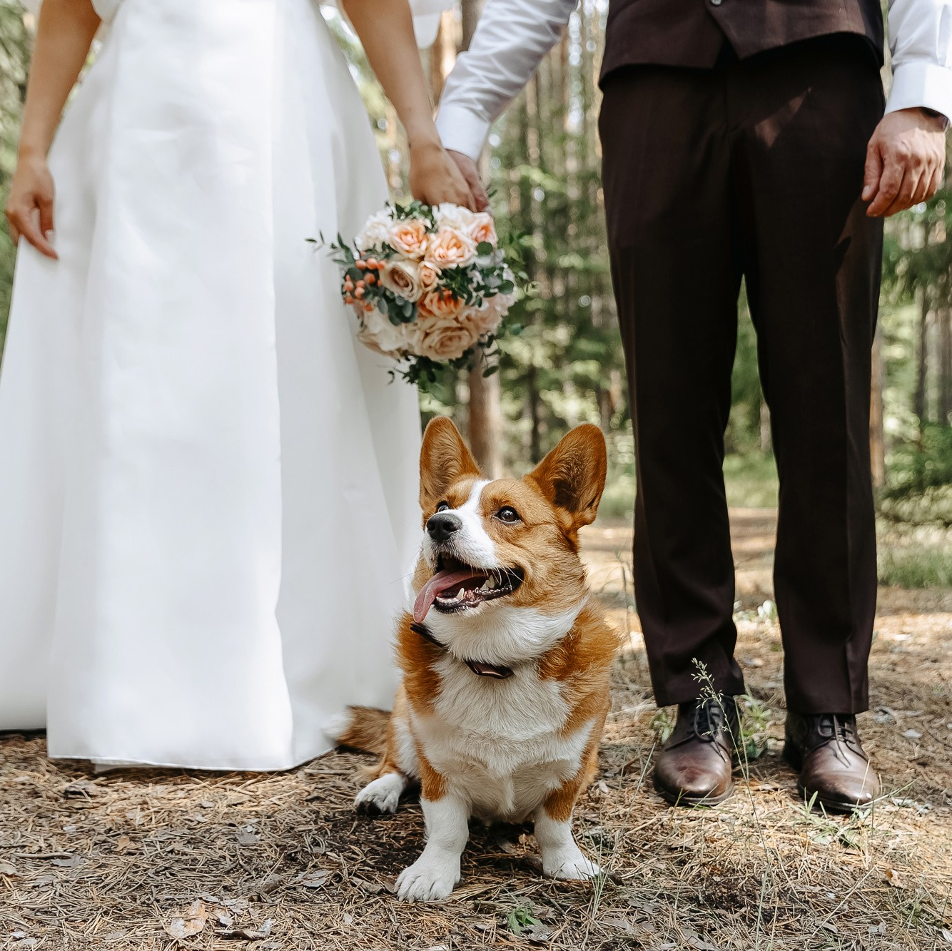 Свадебный и семейный фотограф В Череповце Дмитрий Паутов