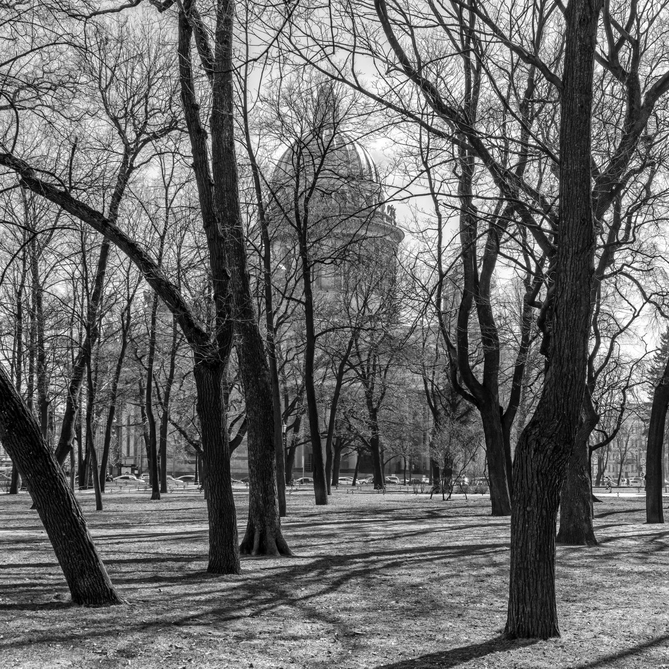 Saint-Petersburg. Black and white. St. Isaac's Cathedral from the Alexander Garden. There are even more view photos in the store.