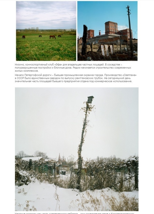 Екатерина Васильева художник, куратор и преподаватель