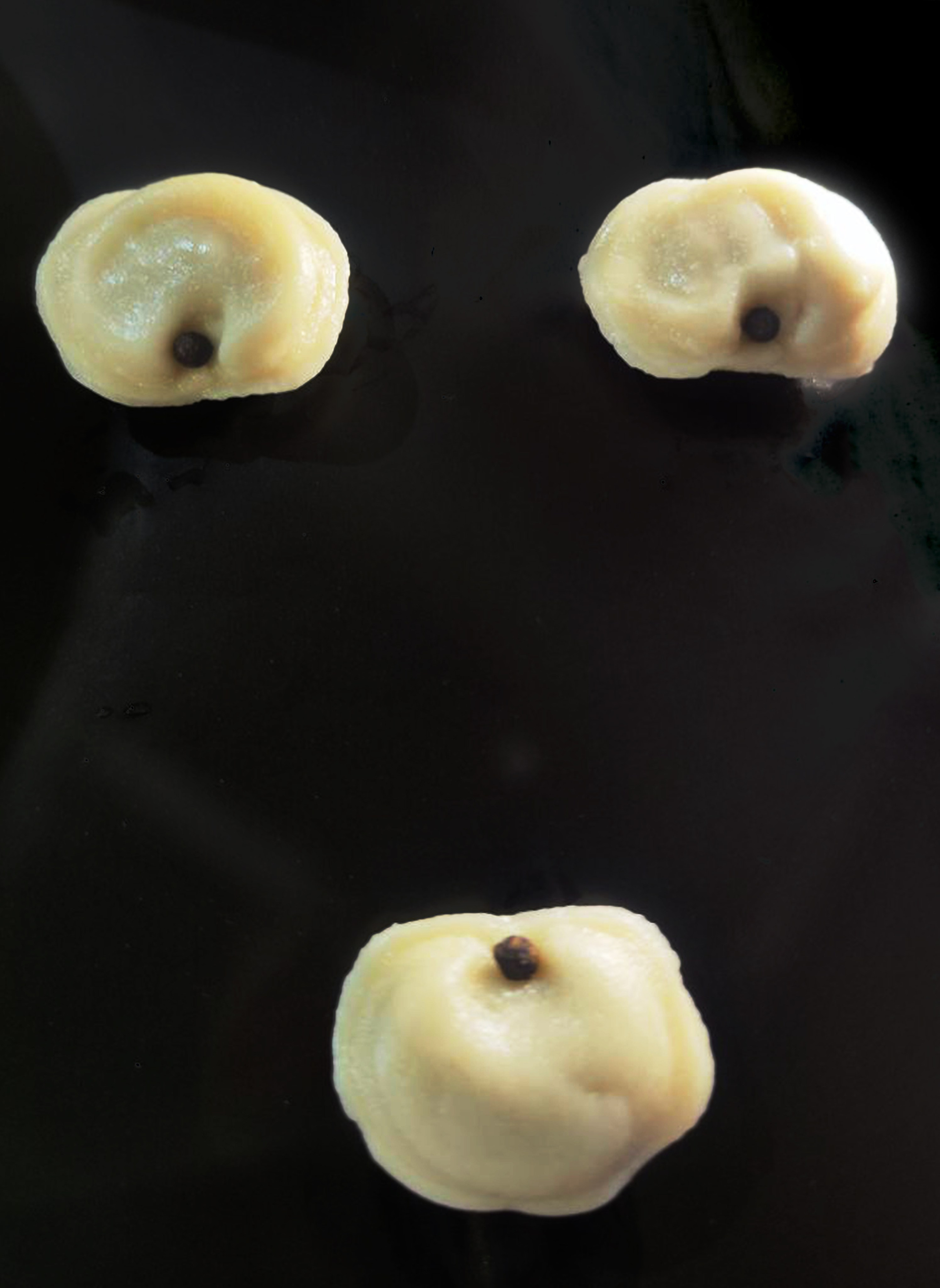 фотограф, фотография, фото проект. женщина, женская физиология, сексуальность, эмоции, секс, искусство, современное искусство, поп арт, фотопроект, фуд съемка, художественая съемка, галлерея, художник, предметная съемка, феминизм, выставка, выставка фотографии, цвет, обложка для книги, обложка для песни, обложкадля музыкального альбома, лучший фотограф России, best of photographers, gallery, photo, art, pop art, photography, women, woman, art photo, contemporary art, world of art, 照片，艺术, 中国