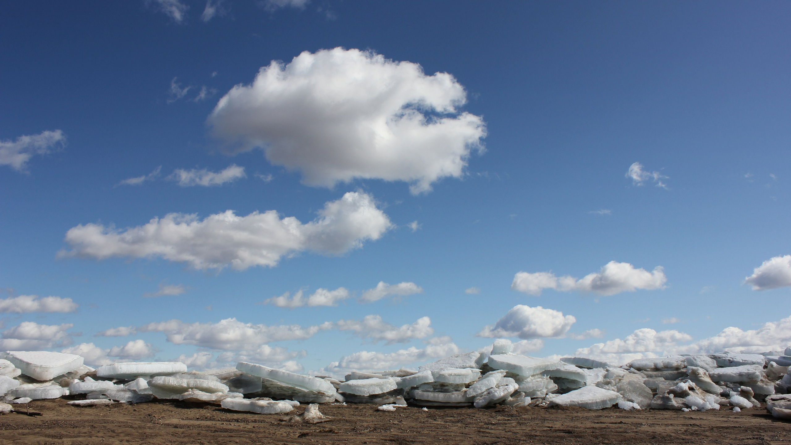 Фотография. Руслан Шувалов (поэтограф)