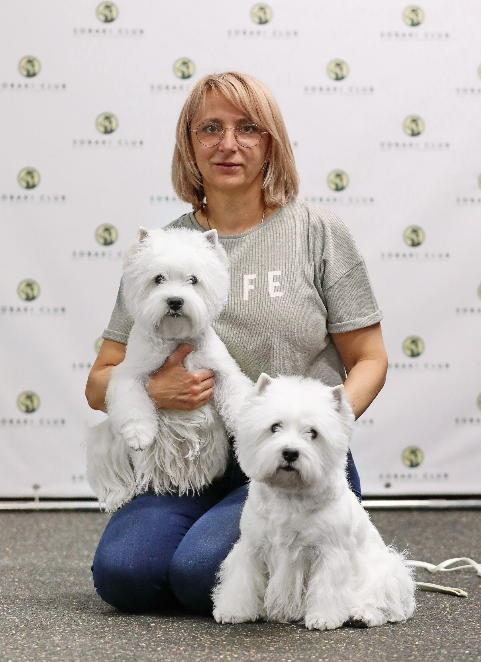 Контакты питомника собак. Питомник собак породы вест хайленд вайт терьер в Москве