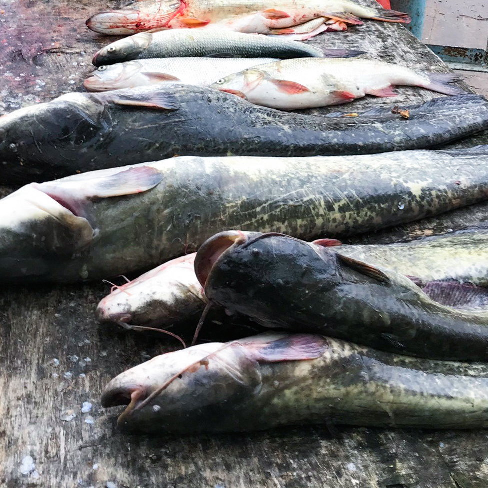 Услуги. База отдыха «Речная слобода» в Астраханской области