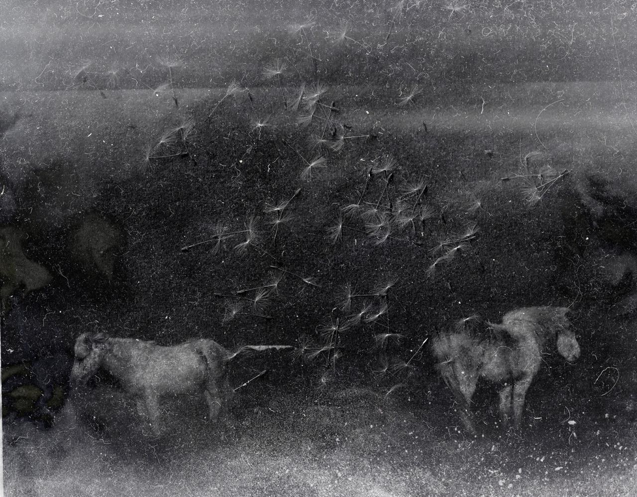 Интервью с Яной Герц. Private image