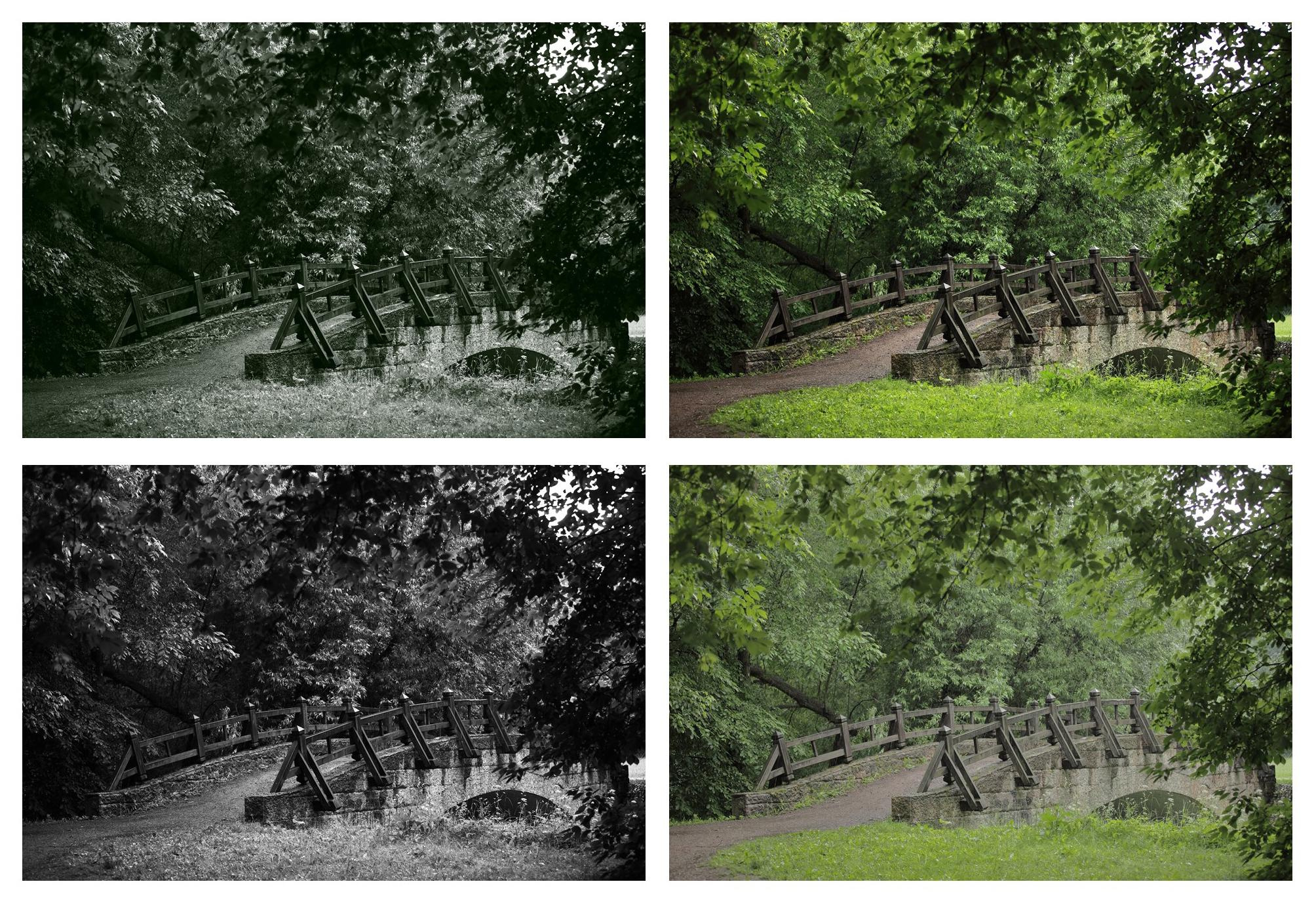 Занятие № 2. FOTOFAQ SKOOL г. Санкт-Петербург: очные, дистанционные и онлайн курсы фотографии