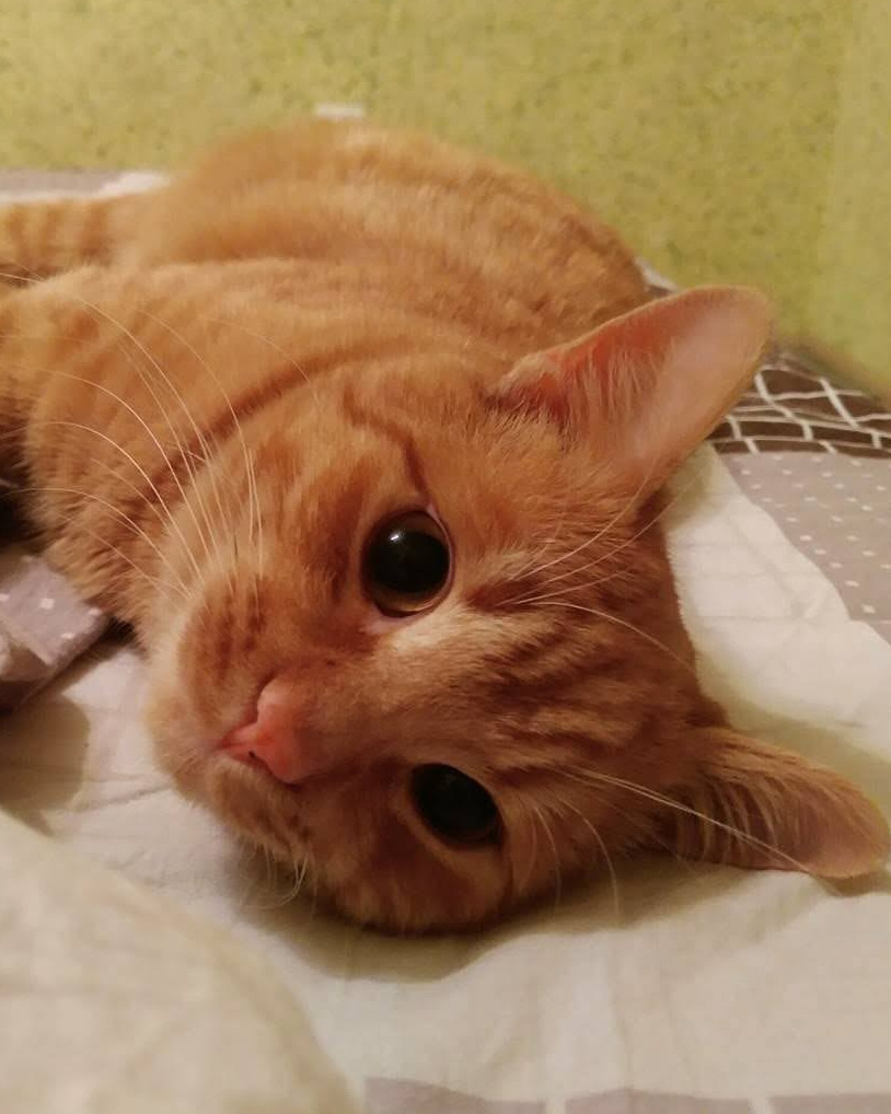 RED SOLUTION. Фото и видеосъёмка клипов и контента для компаний и личных брендов