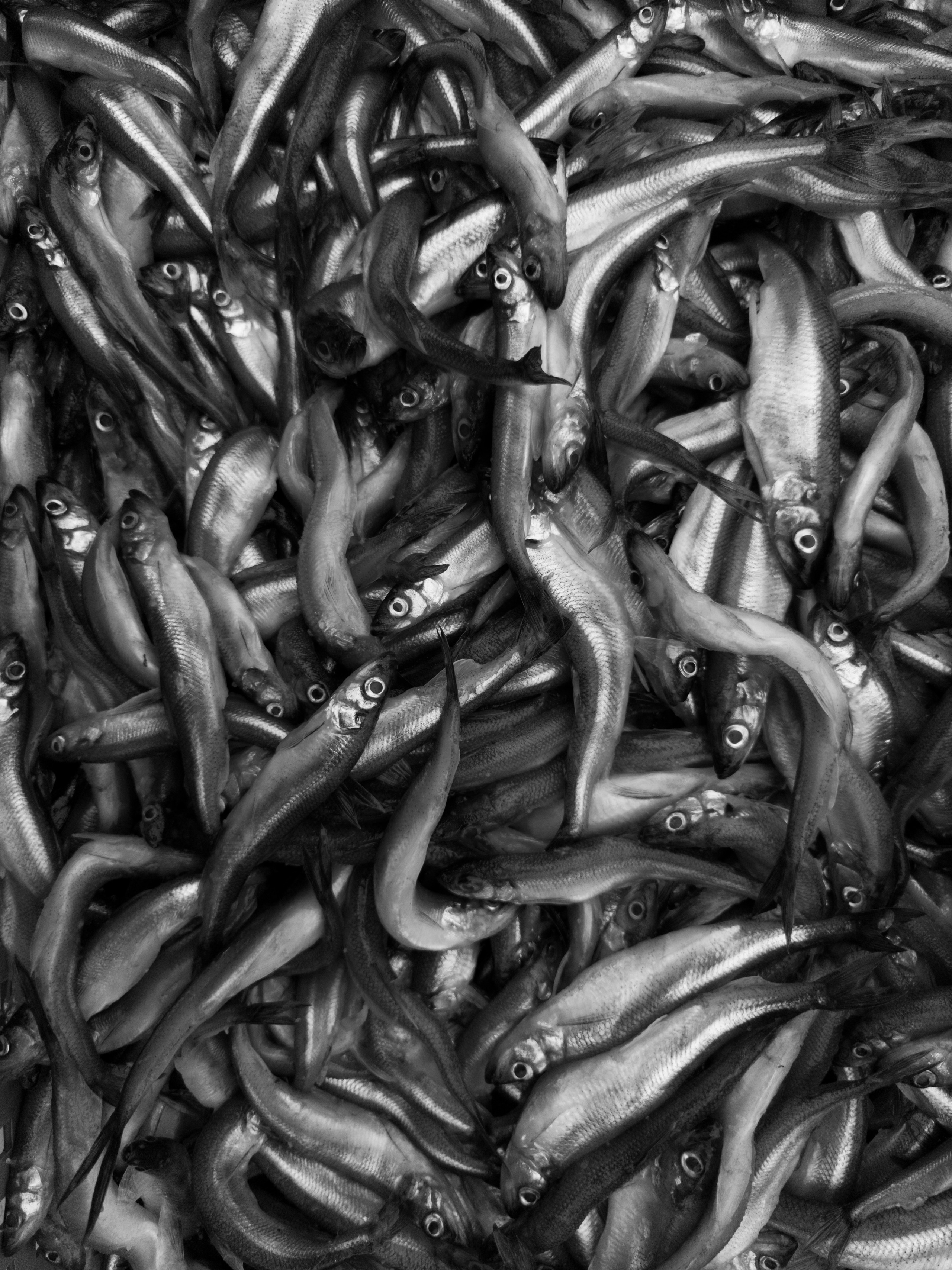 Лестница. Роман Ходырев — эзотериолог, художник, фотограф и музыкант. Санкт-Петербург, Рига