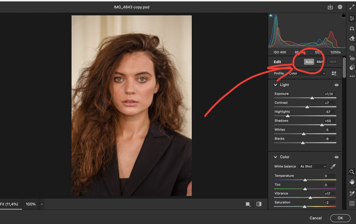 Retouching Training/Headshot Retouching Algorithm. AI Photo Retoucher and Image Restorer Zhanna Ognivo