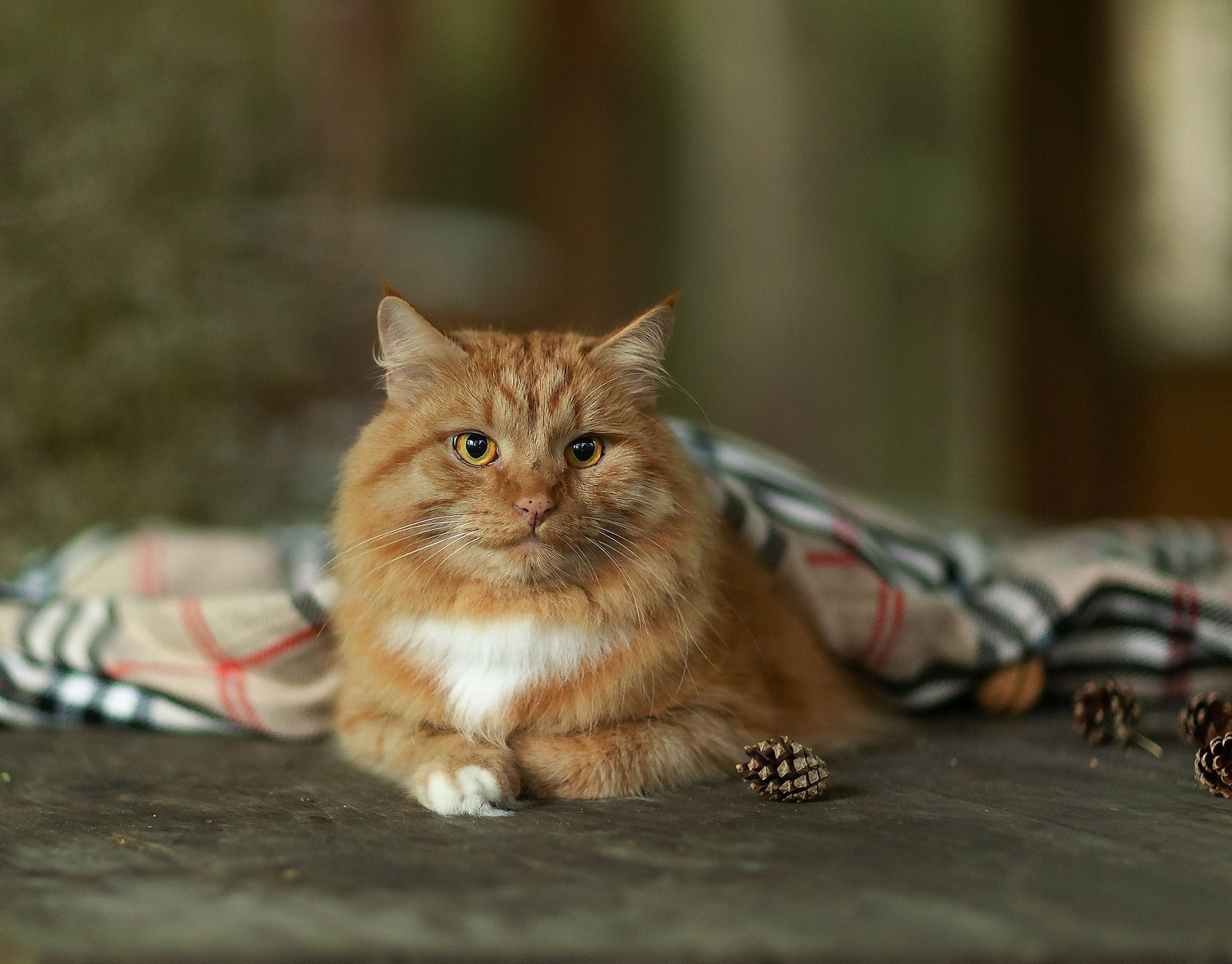 Детский и семейный фотограф в Москве Юлия Стукалова
