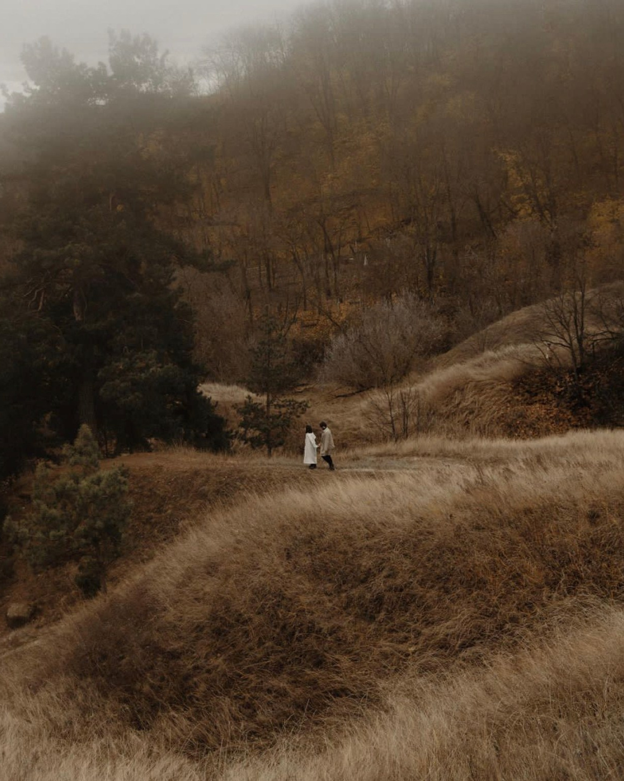 Услуги и прайс. Свадебный и портретный фотограф в Воронеже Алфёрова Оксана
