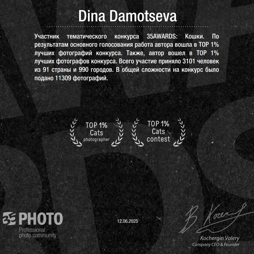 Дипломы и сертификаты. Зоофотограф, фотограф животных в Москве и области Дина Дамоцева