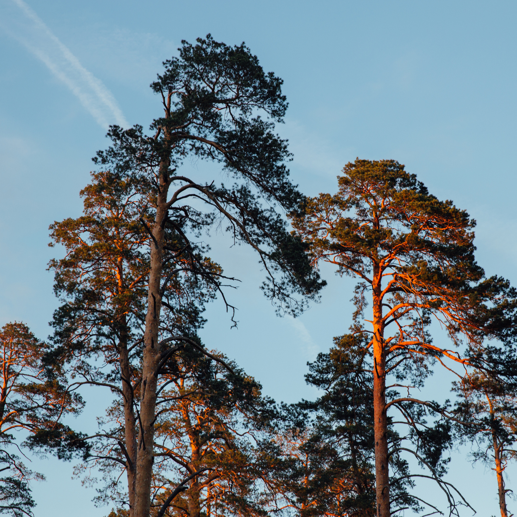 Выкса и Арт-овраг. Свадебный и портретный фотограф в Нижнем Новгороде и Нижегородской обл