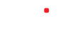 sheinev.ru