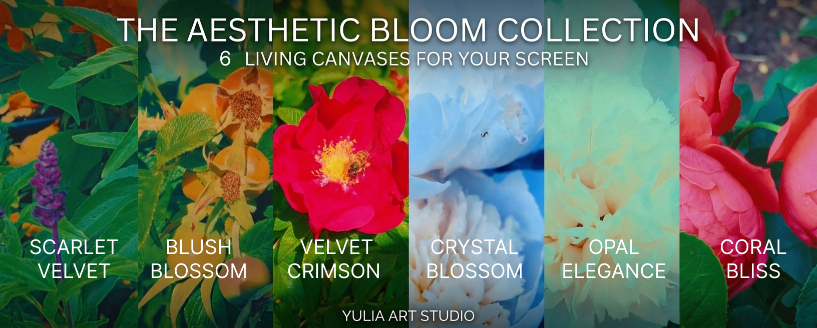 MOVING ART & LIVING CANVASES. Yulia Yurchevskaya | Art Director & Visual Visionary