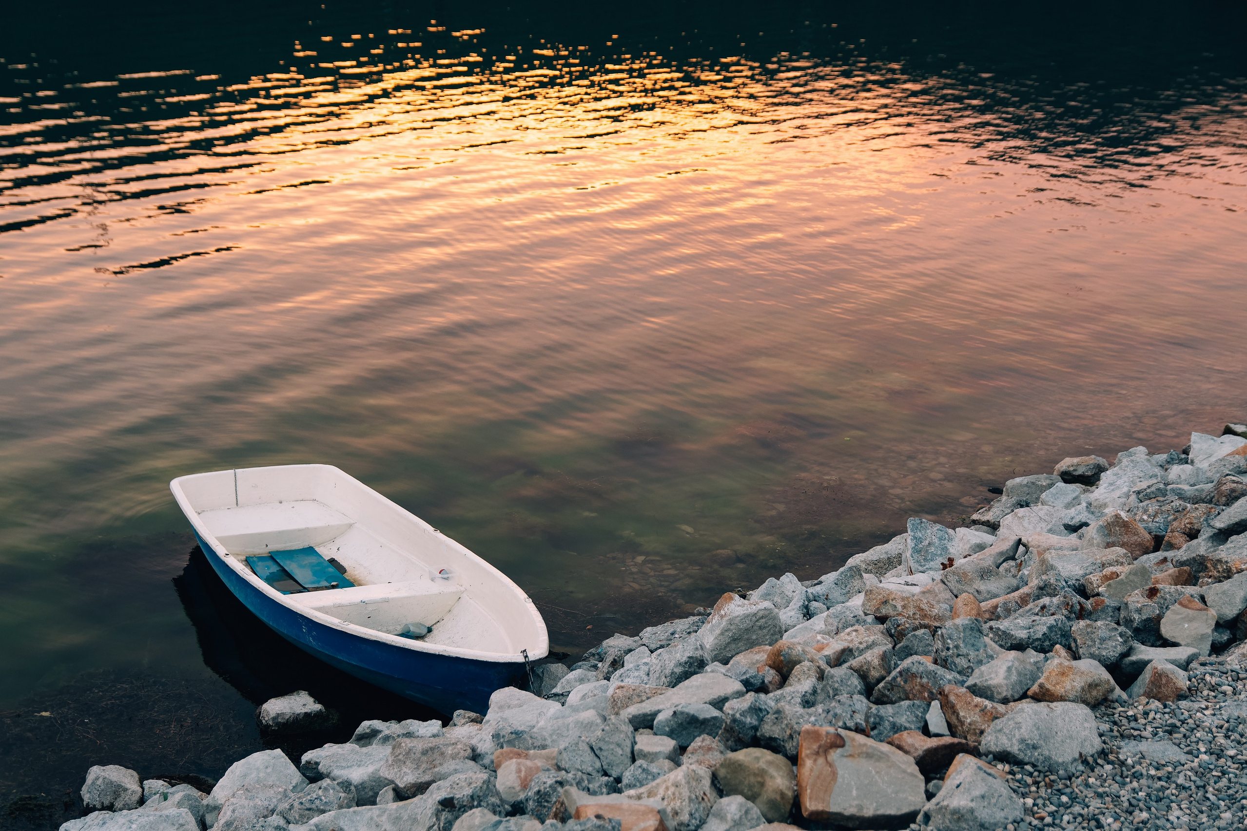 Услуги. Репортажный фотограф в Ставрополе