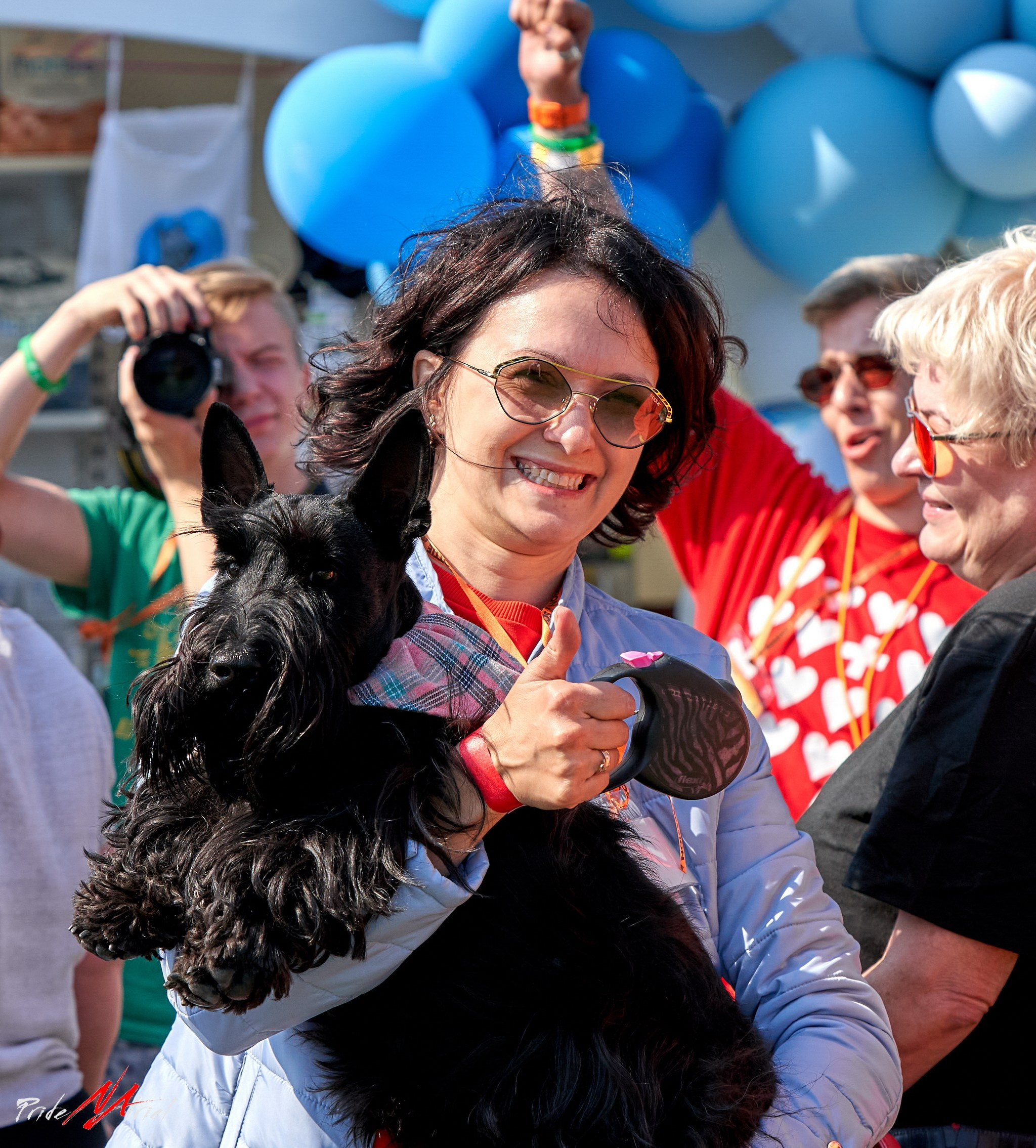 репортажная кинологические скоттисейшн собакой