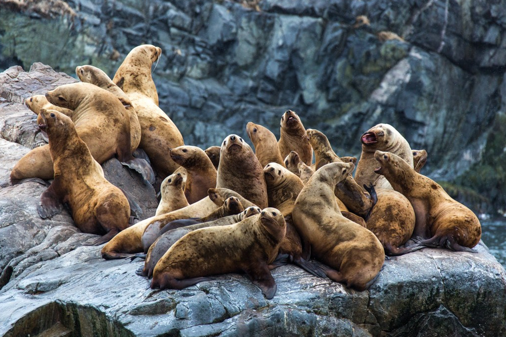 Научно-популярная Камчатка. Время Камчатки: чтобы найти свой путь, нужно скорость умножить на время