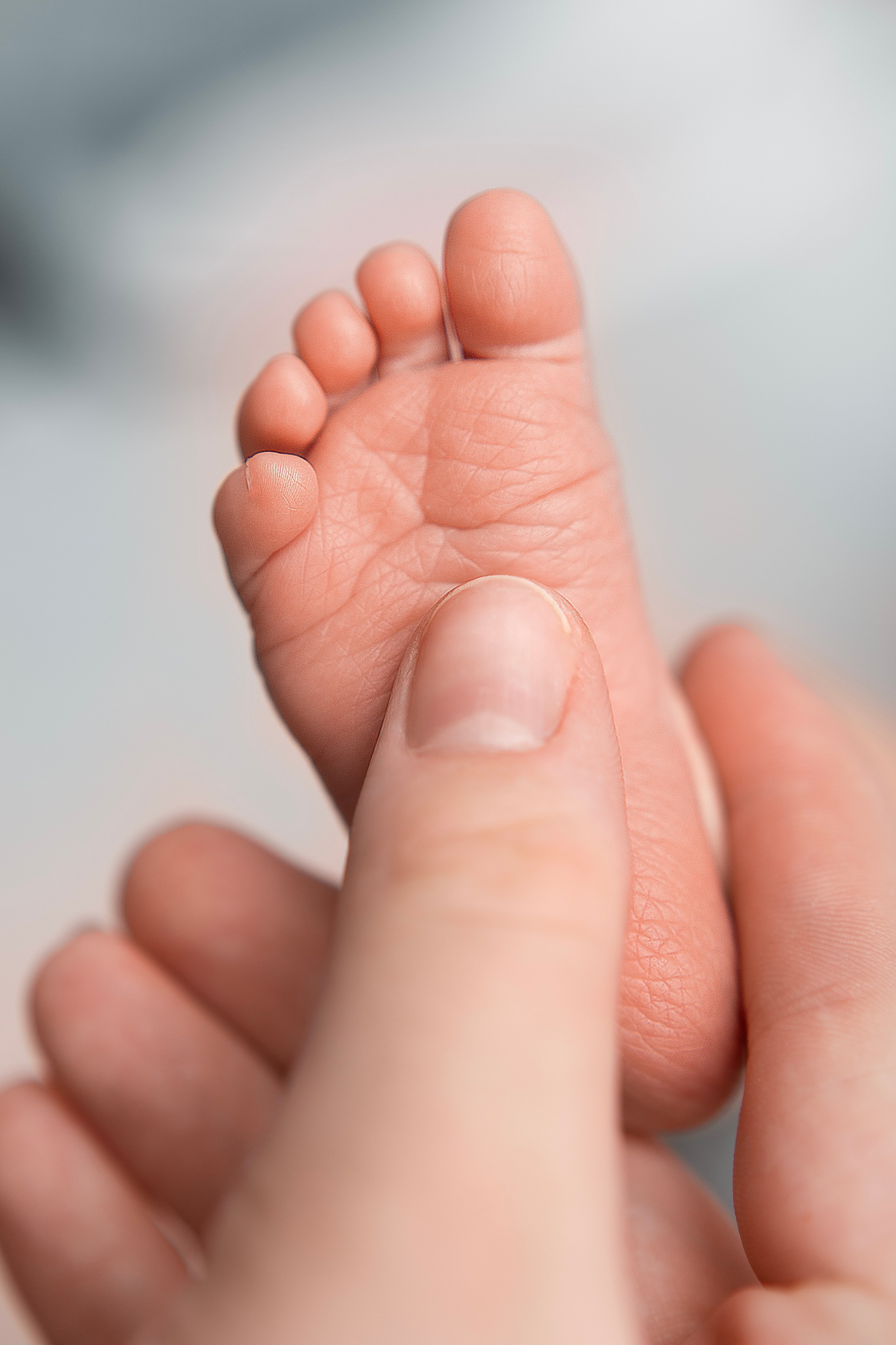 Фотограф новорожденных Зеленоград Москва Алёна Черняева