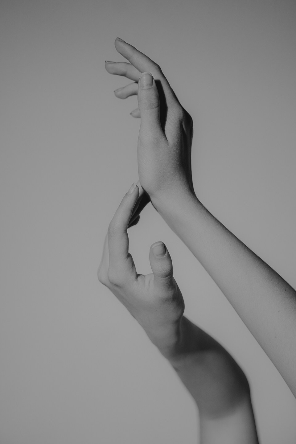 студийная в сочи