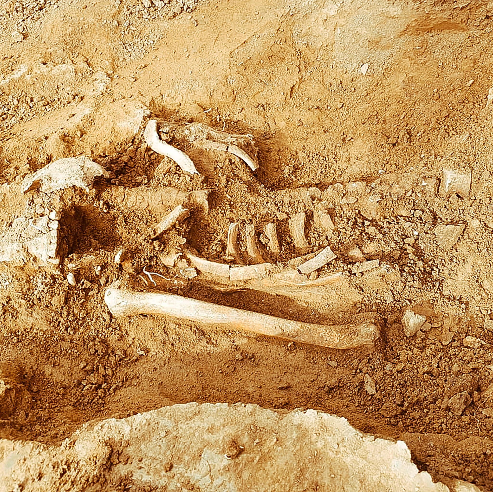 Услуги. Arheolog