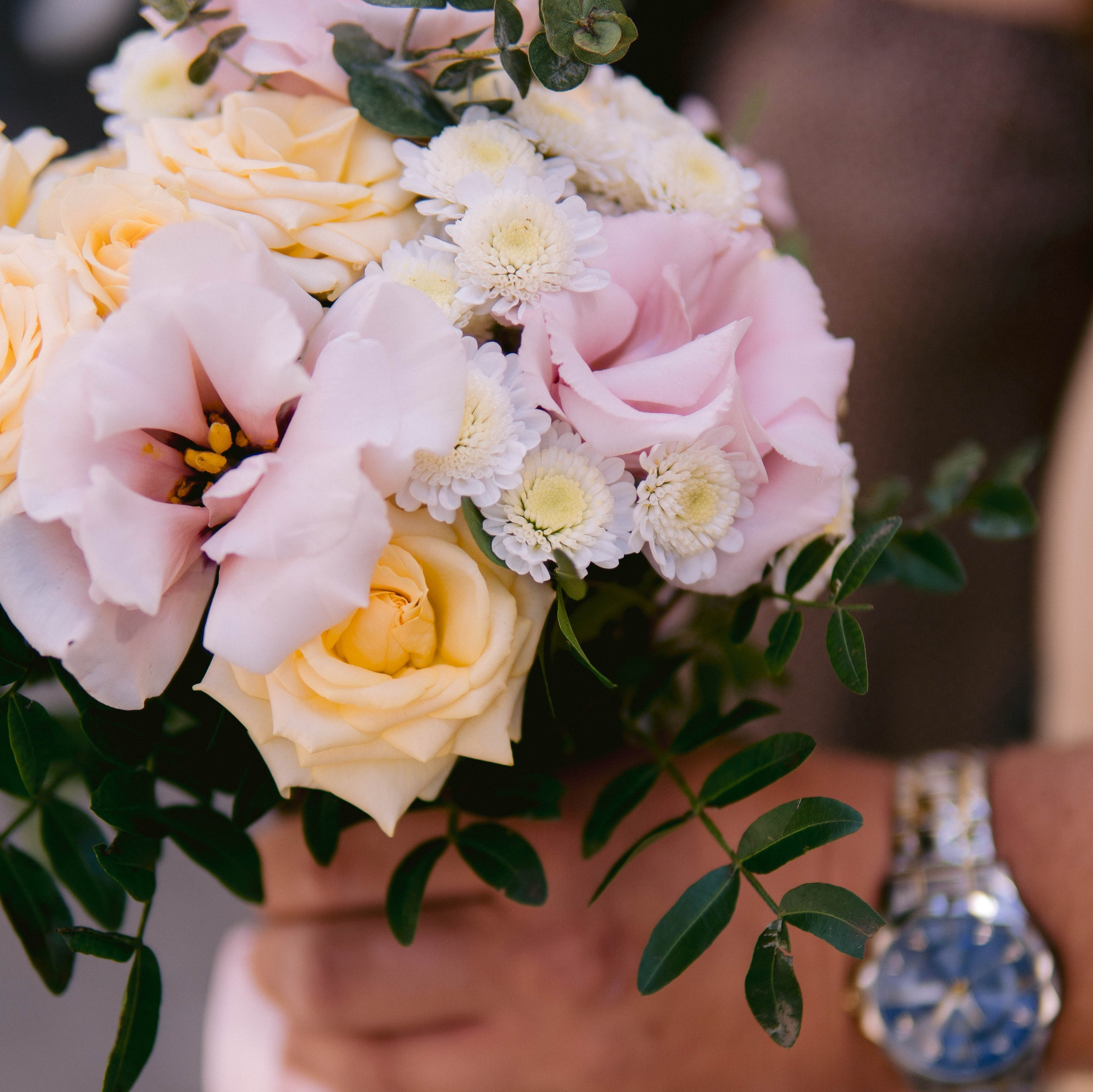 Услуги. Семейный фотограф в Воронеже Дарья Болотова