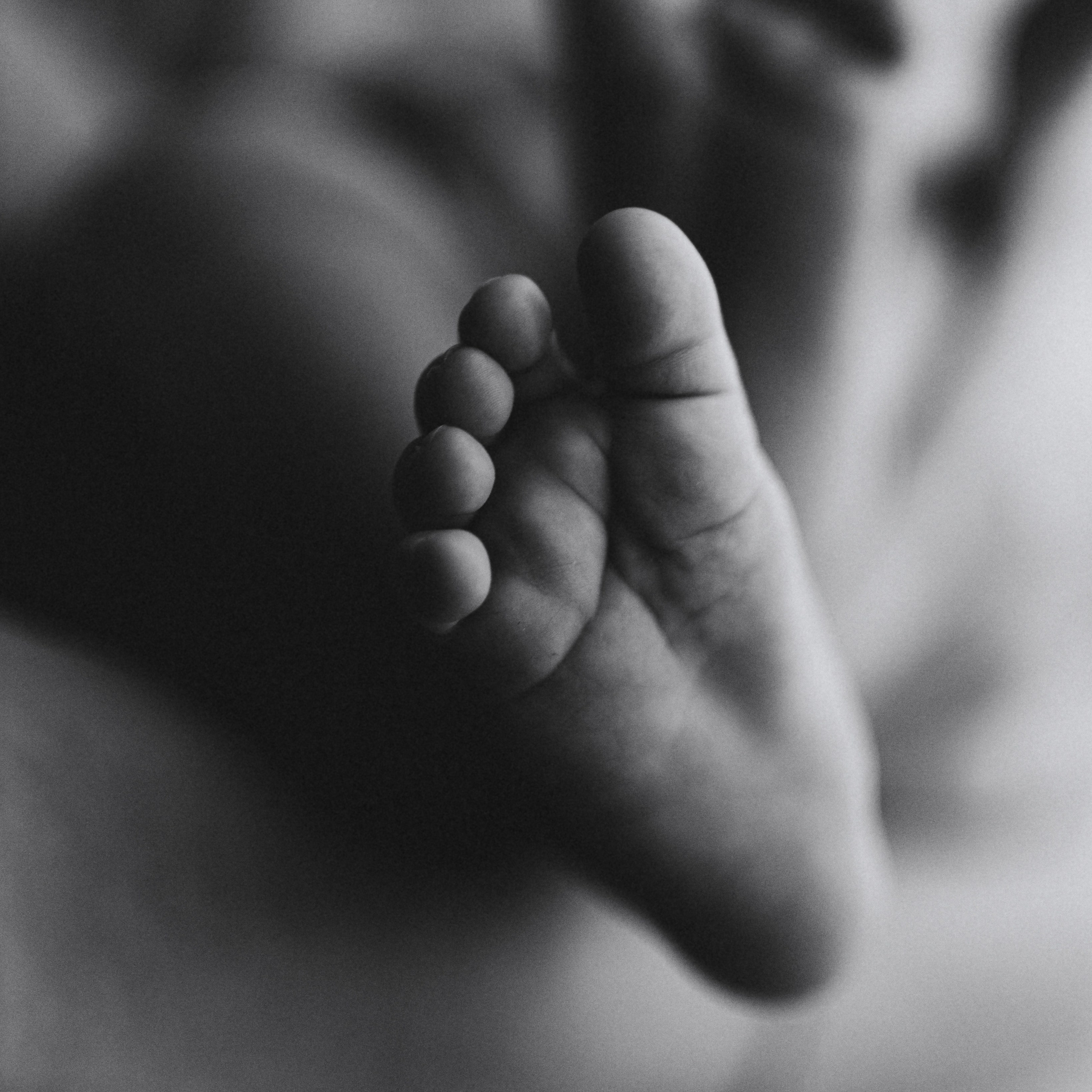 Фотограф Москва