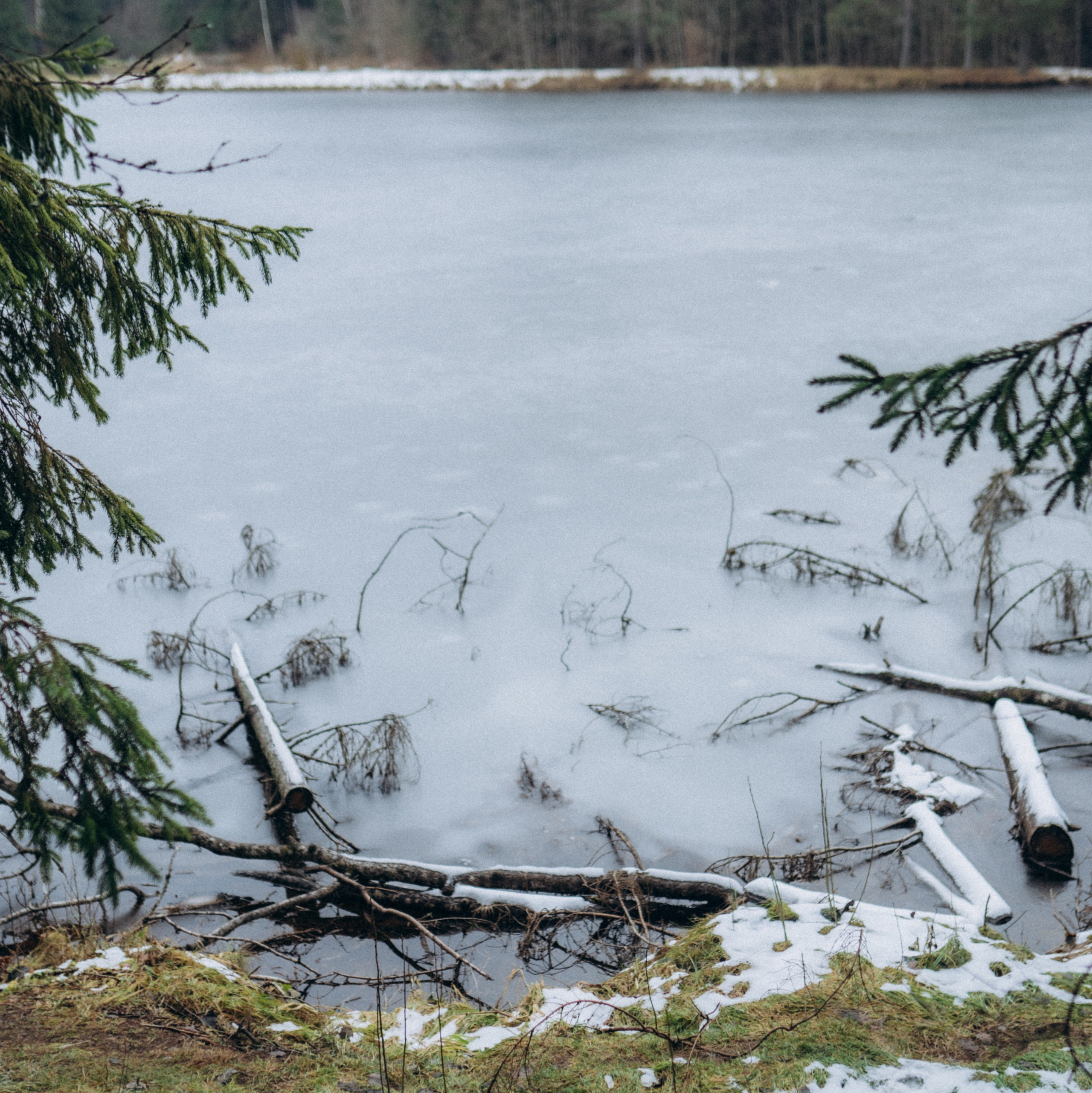 Обо мне. Фотограф Москва Селюкова Юлия